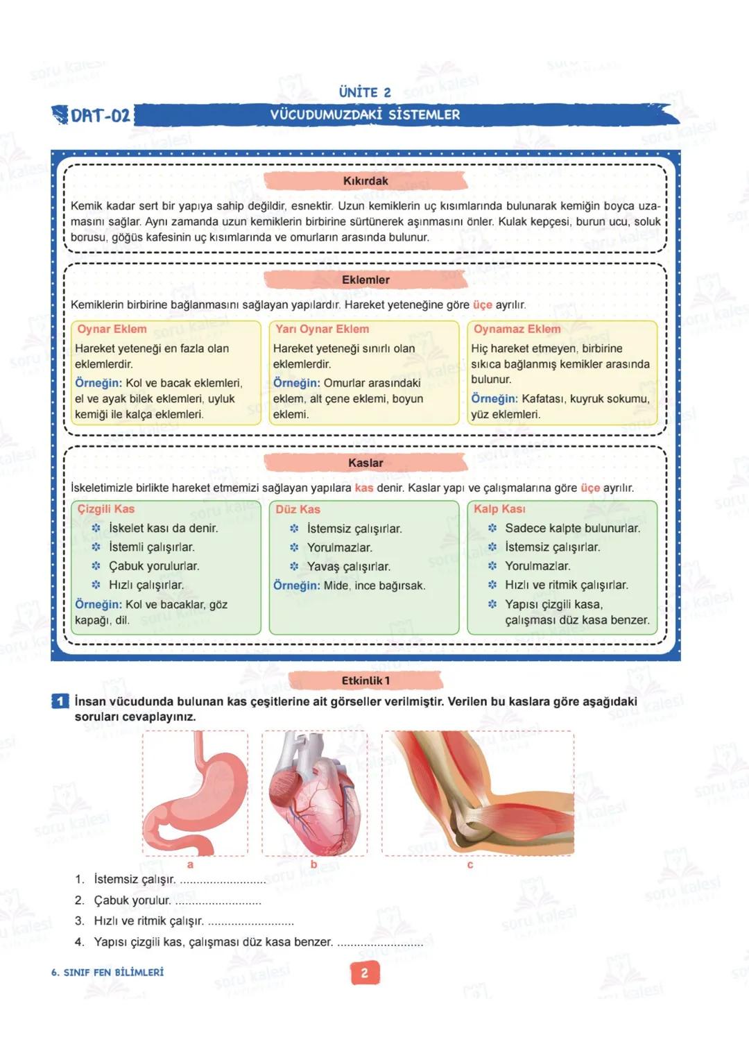 # 6
SINIF
FEN BİLİMLERİ
## ÜNİTE 2: VÜCUDUMUZDAKİ SİSTEMLER
### KAZANIMLAR:
- F.6.2.1.1. Destek ve hareket sistemine ait yapıları örnekle