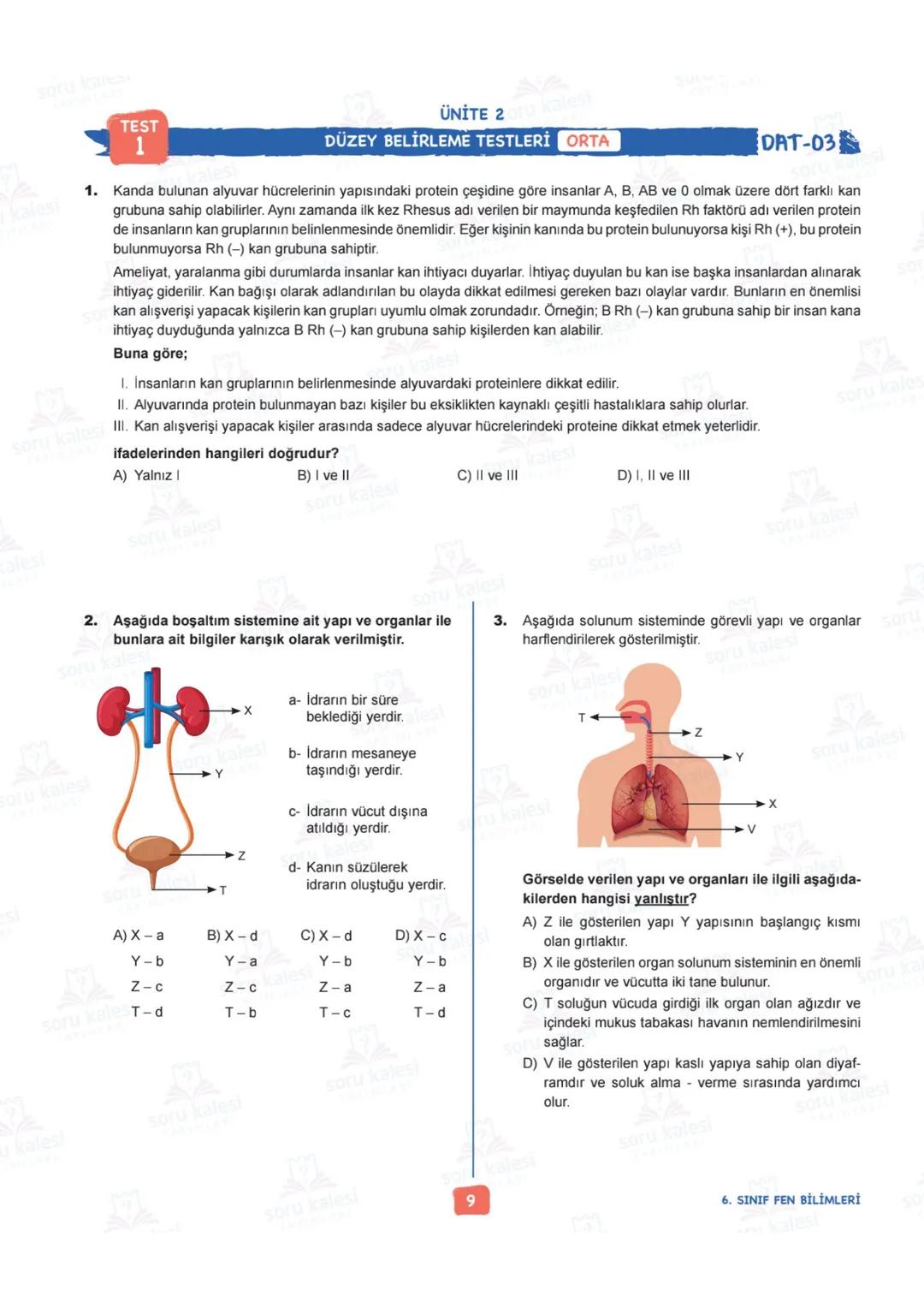 # 6
SINIF
FEN BİLİMLERİ
## ÜNİTE 2: VÜCUDUMUZDAKİ SİSTEMLER
### KAZANIMLAR:
- F.6.2.1.1. Destek ve hareket sistemine ait yapıları örnekle