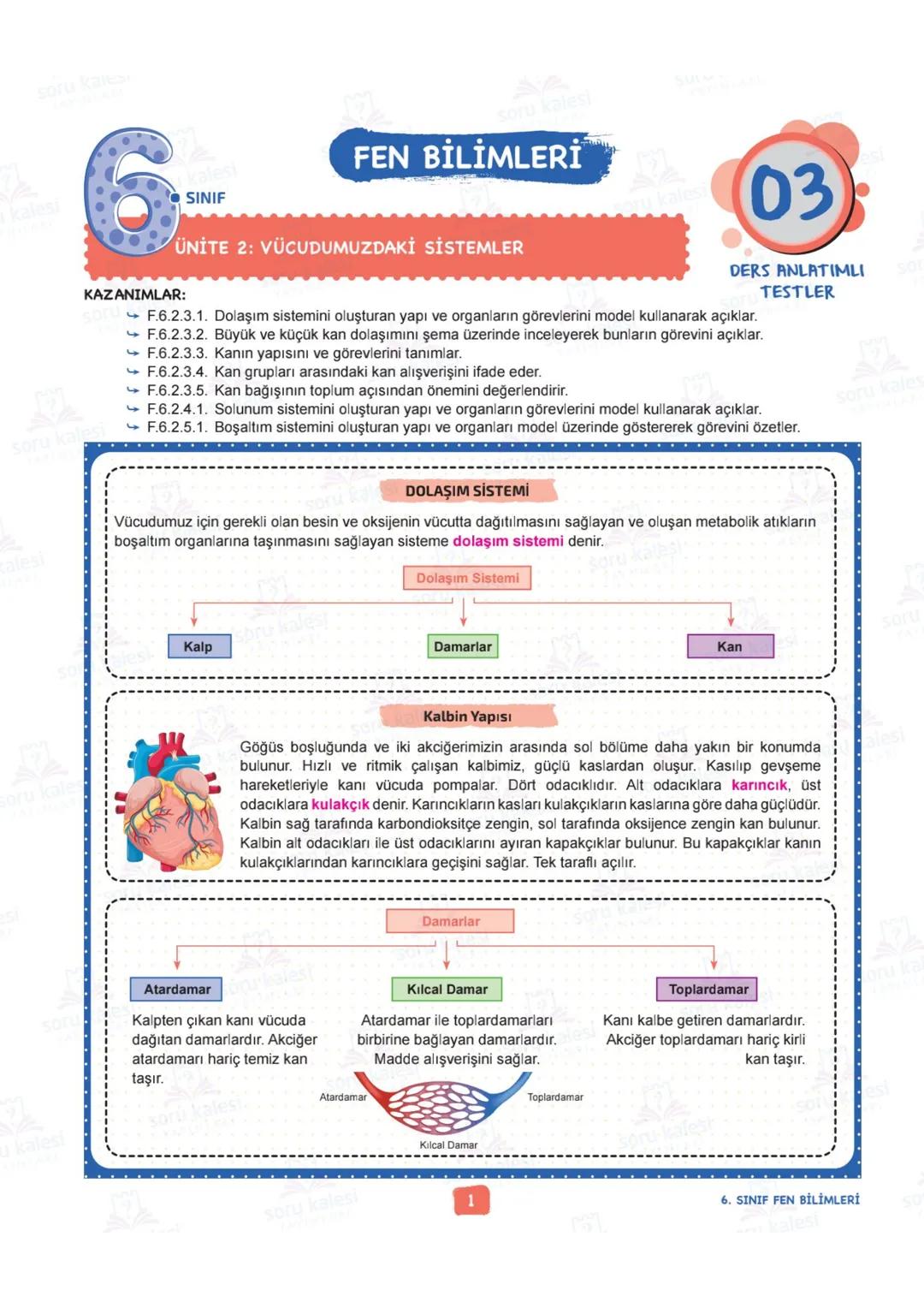 # 6
SINIF
FEN BİLİMLERİ
## ÜNİTE 2: VÜCUDUMUZDAKİ SİSTEMLER
### KAZANIMLAR:
- F.6.2.1.1. Destek ve hareket sistemine ait yapıları örnekle