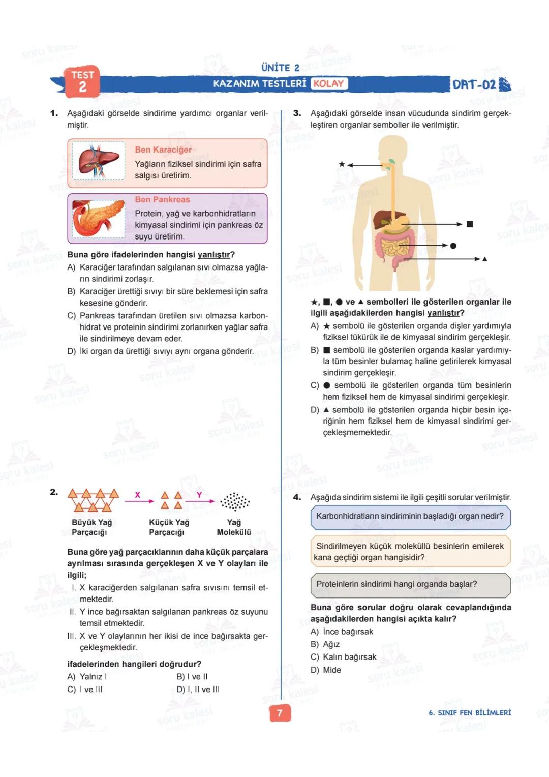 # 6
SINIF
FEN BİLİMLERİ
## ÜNİTE 2: VÜCUDUMUZDAKİ SİSTEMLER
### KAZANIMLAR:
- F.6.2.1.1. Destek ve hareket sistemine ait yapıları örnekle