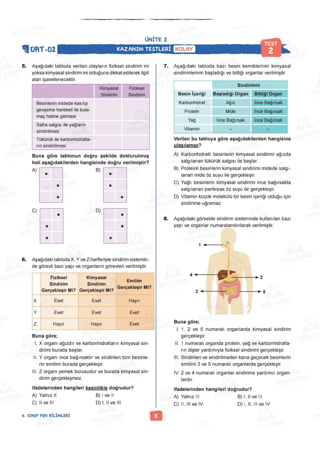 # 6
SINIF
FEN BİLİMLERİ
## ÜNİTE 2: VÜCUDUMUZDAKİ SİSTEMLER
### KAZANIMLAR:
- F.6.2.1.1. Destek ve hareket sistemine ait yapıları örnekle