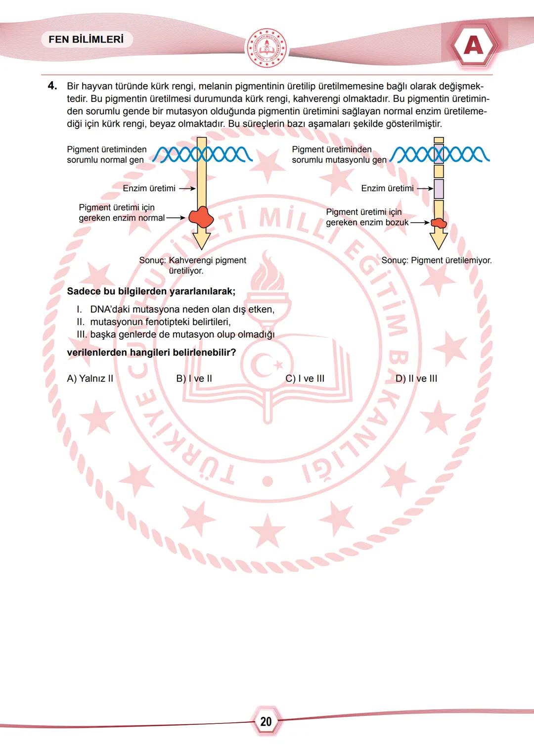 2024 SAYISAL BÖLÜM
**
T.C.
MİLLÎ EĞİTİM BAKANLIĞI
ÖLÇME, DEĞERLENDİRME VE SINAV HİZMETLERİ GENEL MÜDÜRLÜĞÜ
SINAVLA ÖĞRENCİ ALACAK ORTAÖĞRETİ