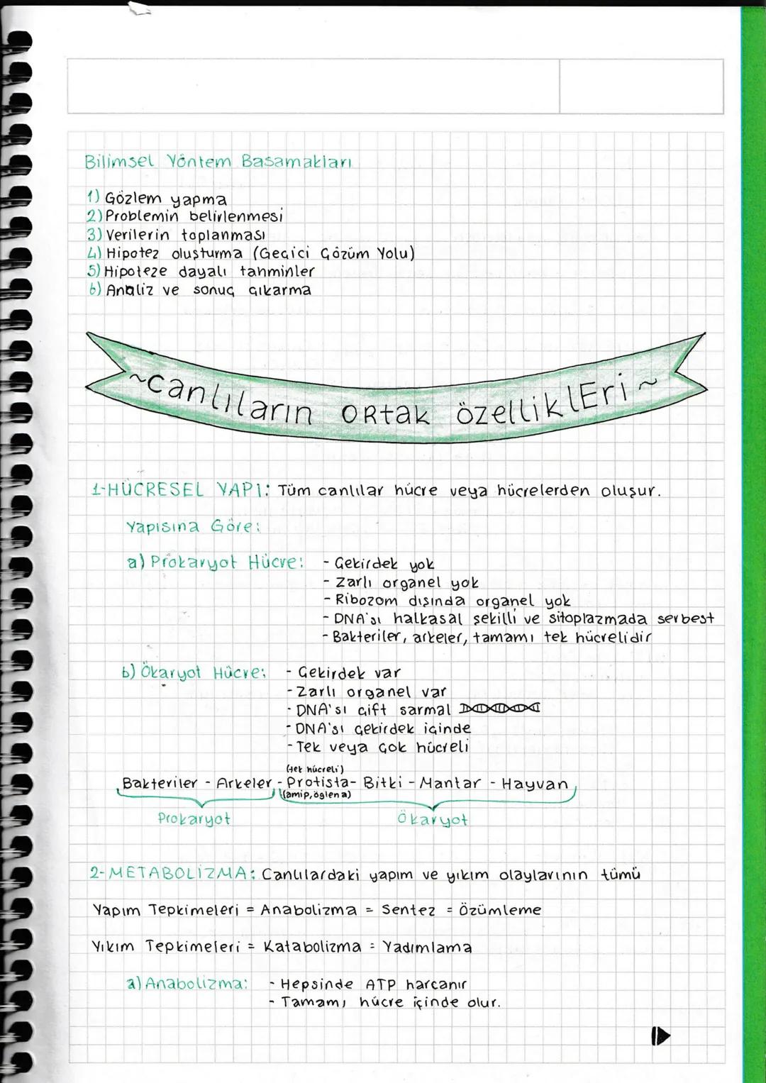 Canlıların Ortak Özellikleri | Biyoloji | 9. Sınıf | 2024-5