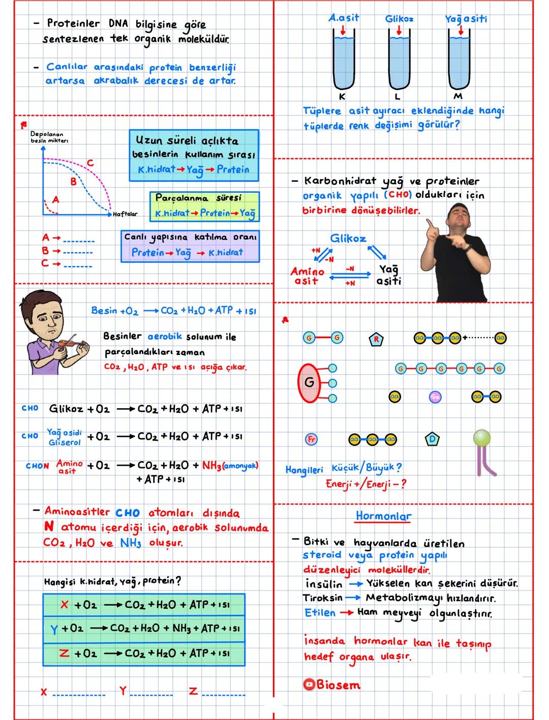 Canlıların Temel Bilesenleri (CTB)
inorganik + organik → canlı
CTB
inorganik ①
Su (H20)
Asit-Baz-Tuz
Mineraller
organik ②
Karbonhidratlar
Li