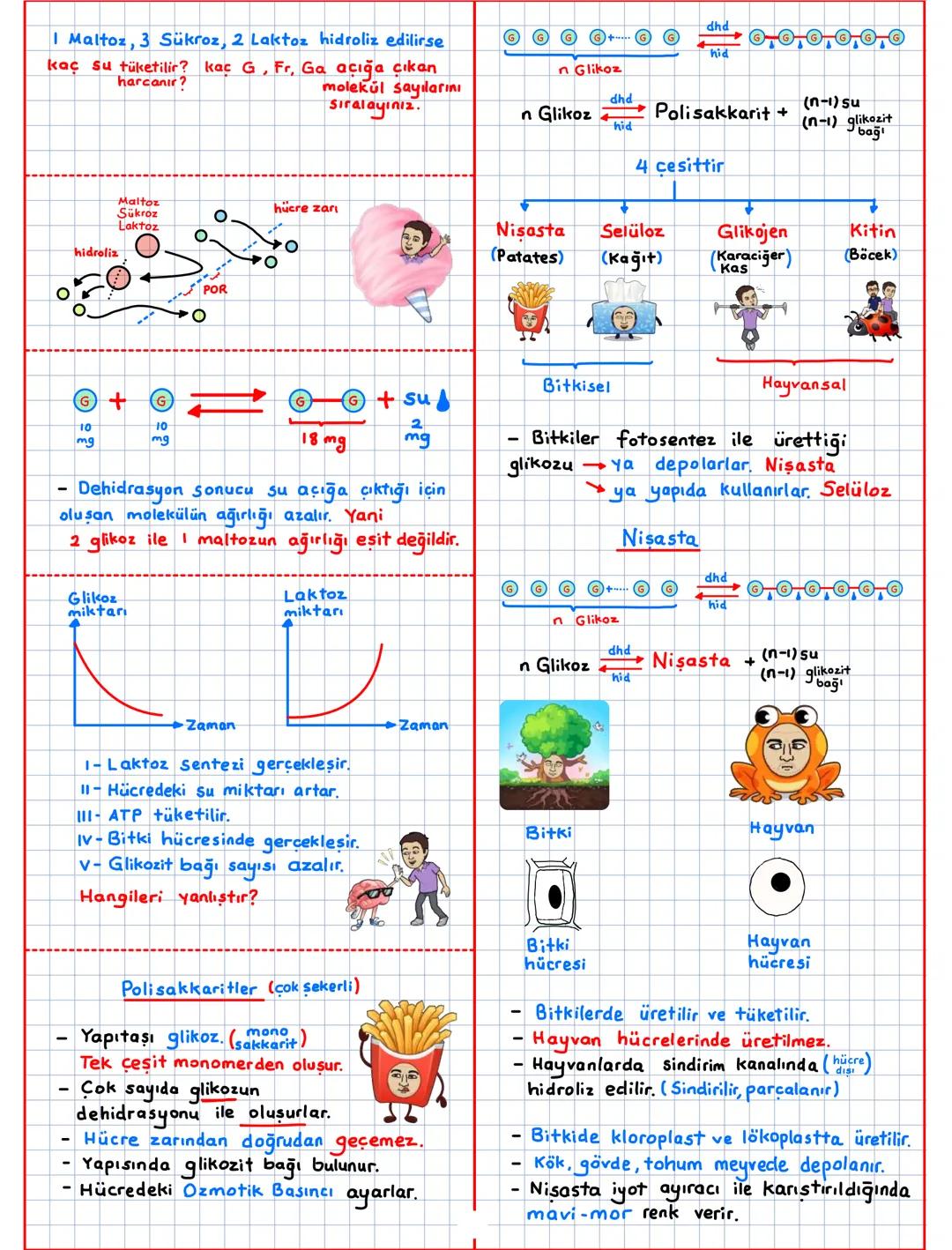 Canlıların Temel Bilesenleri (CTB)
inorganik + organik → canlı
CTB
inorganik ①
Su (H20)
Asit-Baz-Tuz
Mineraller
organik ②
Karbonhidratlar
Li