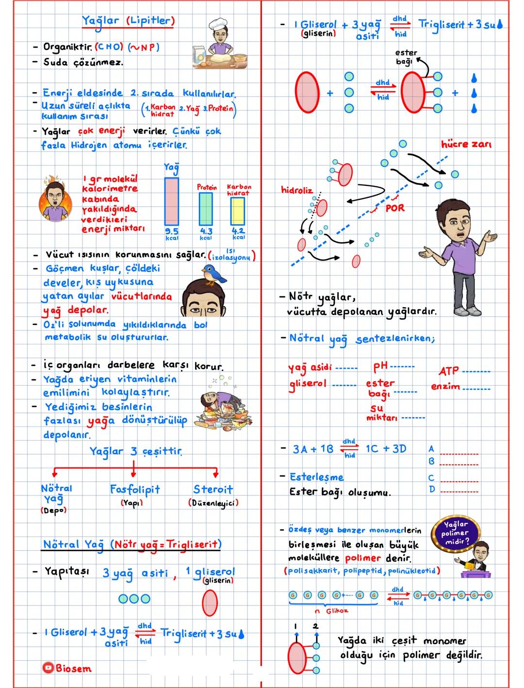 Canlıların Temel Bilesenleri (CTB)
inorganik + organik → canlı
CTB
inorganik ①
Su (H20)
Asit-Baz-Tuz
Mineraller
organik ②
Karbonhidratlar
Li