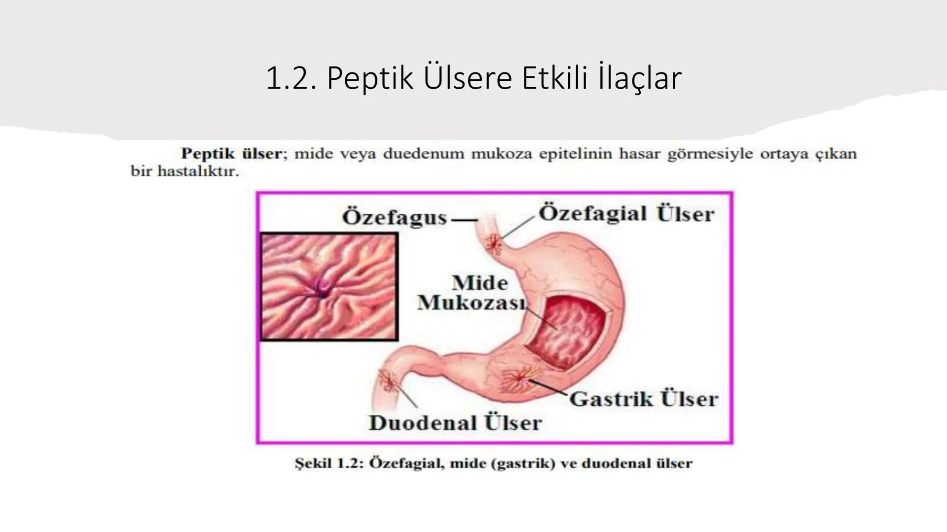 SİNDİRİM
SİSTEMİNE
ETKİLİ İLAÇLAR # SİNDİRİM SİSTEMİNE ETKİLİ İLAÇLAR
Sindirim sistemi ağızdan
başlayıp anüse kadar uzanan
ve yer yer geniş