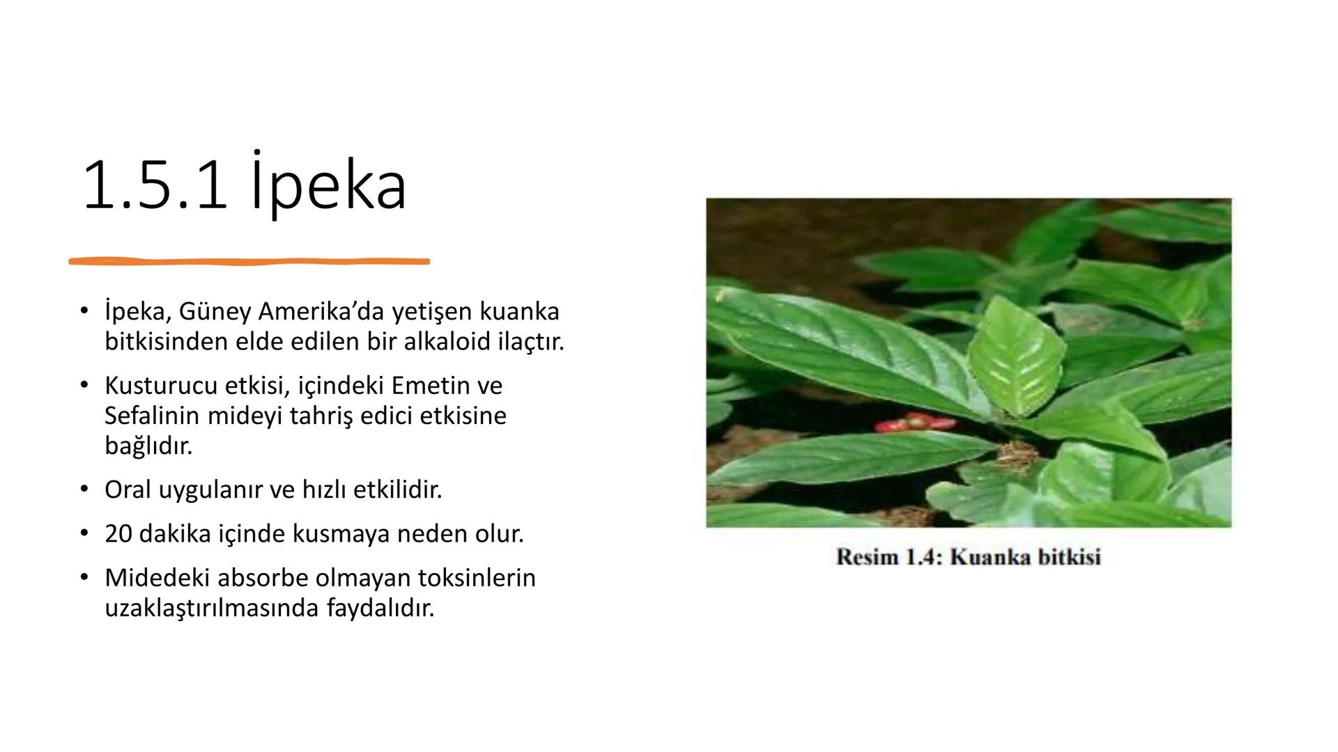 SİNDİRİM
SİSTEMİNE
ETKİLİ İLAÇLAR # SİNDİRİM SİSTEMİNE ETKİLİ İLAÇLAR
Sindirim sistemi ağızdan
başlayıp anüse kadar uzanan
ve yer yer geniş