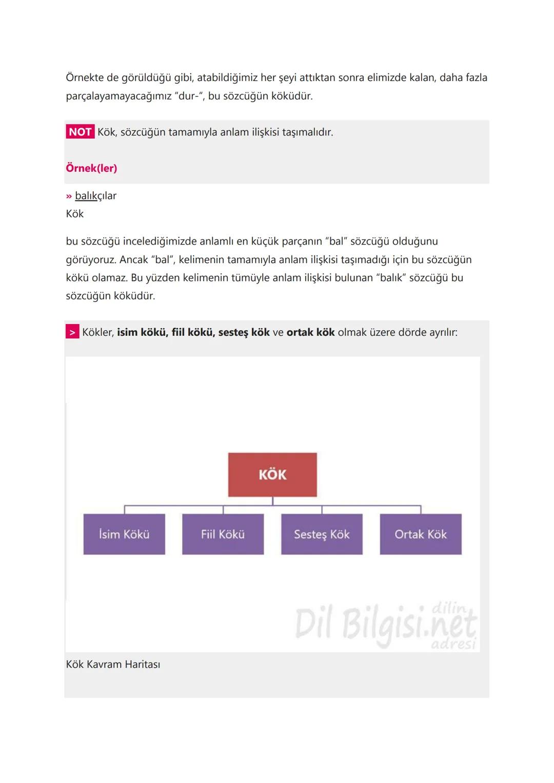 # TÜRKÇE KONU ANLATIMLARI
# SÖZCÜKTE ANLAM :
1. Gerçek (Temel) Anlam
Gerçek anlam, bir kelimenin aklımıza ilk gelen anlamıdır. Kelimeleri