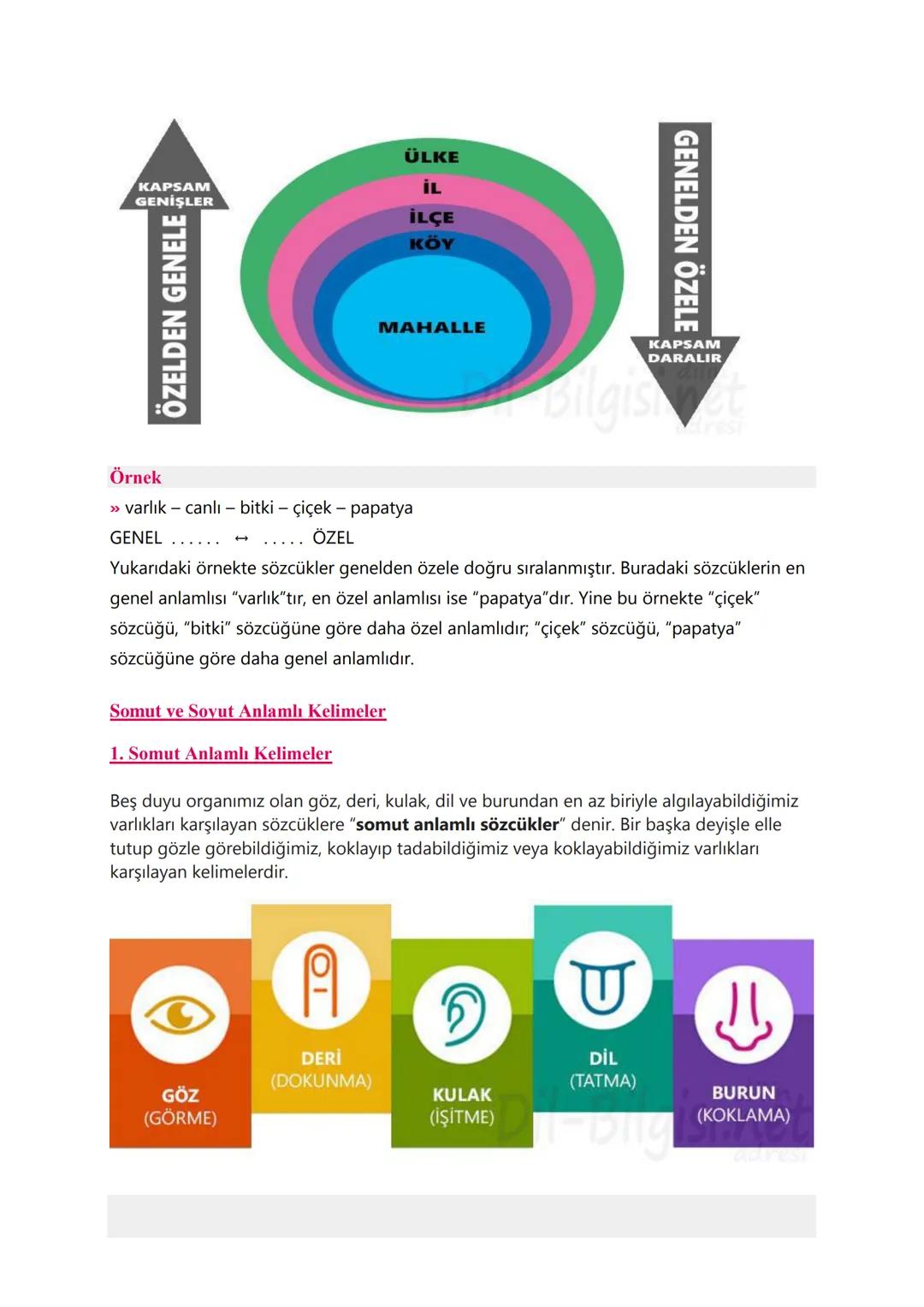 # TÜRKÇE KONU ANLATIMLARI
# SÖZCÜKTE ANLAM :
1. Gerçek (Temel) Anlam
Gerçek anlam, bir kelimenin aklımıza ilk gelen anlamıdır. Kelimeleri
