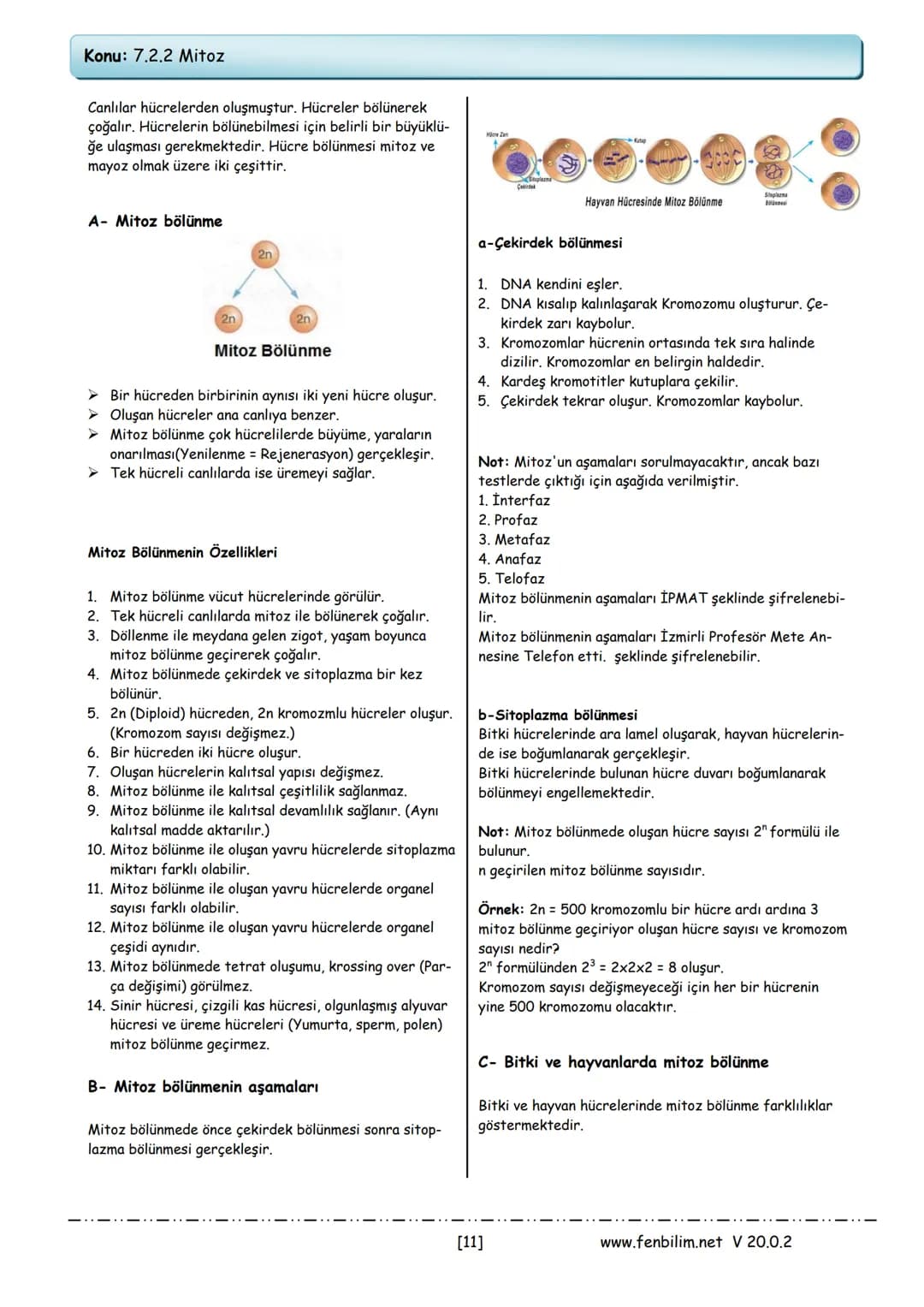 7. Sınıf fen bilimleri ders notları – 11. sayfa
