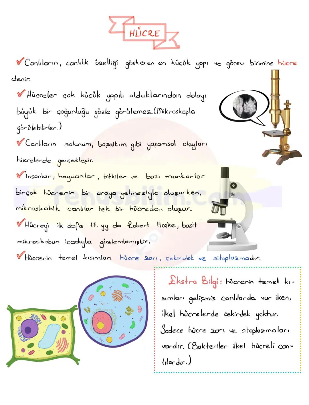 HÜCRE
✔Canlıların, canlılık özelliği gösteren en küçük yapı ve görev birimine hücre
denir.
✔ Hücreler çok küçük yapılı olduklarından dolay