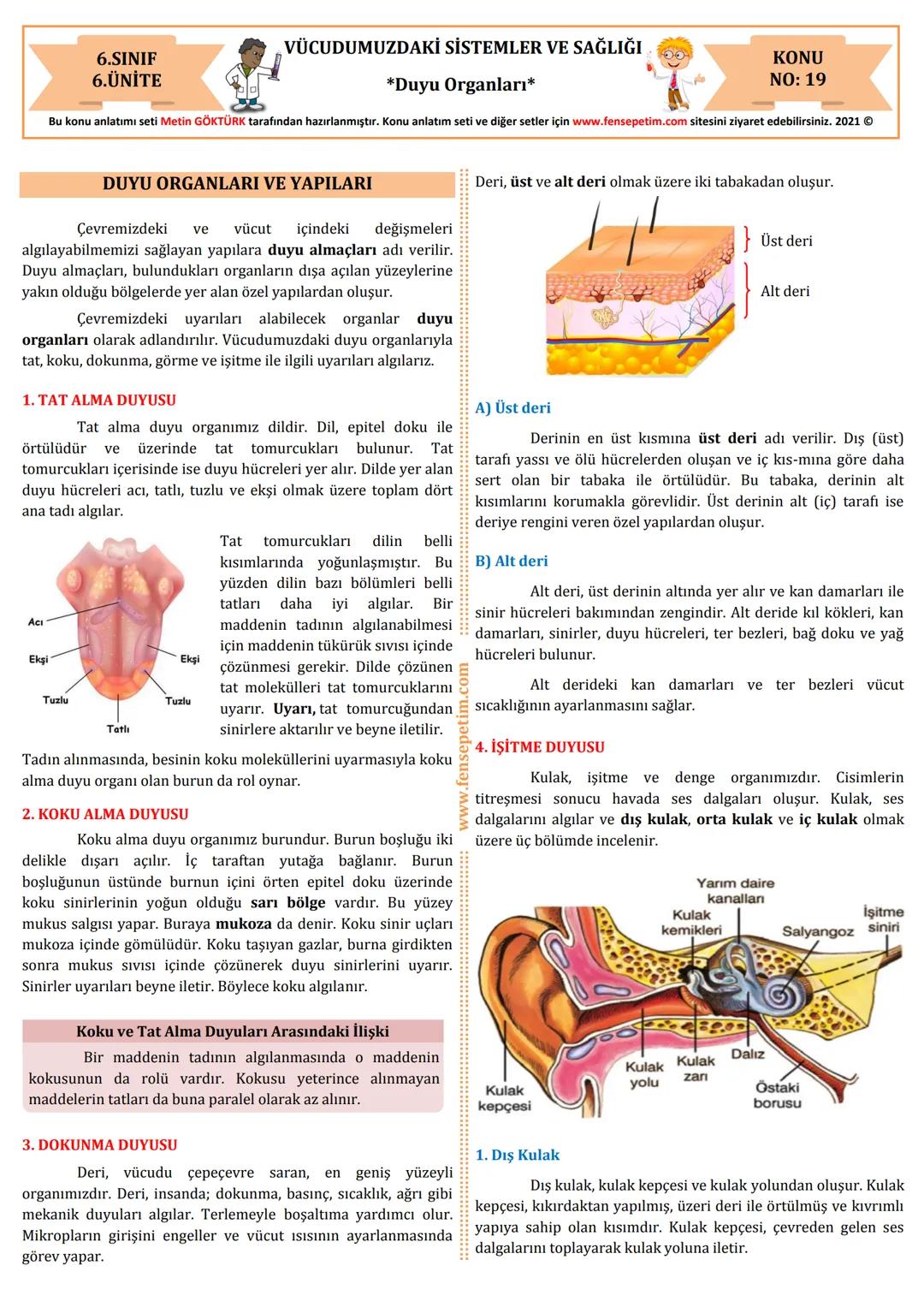 # 6.SINIF
# 6.ÜNİTE
VÜCUDUMUZDAKİ SİSTEMLER VE SAĞLIĞI
*Duyu Organları*
KONU
NO: 19
Bu konu anlatımı seti Metin GÖKTÜRK tarafından hazırl
