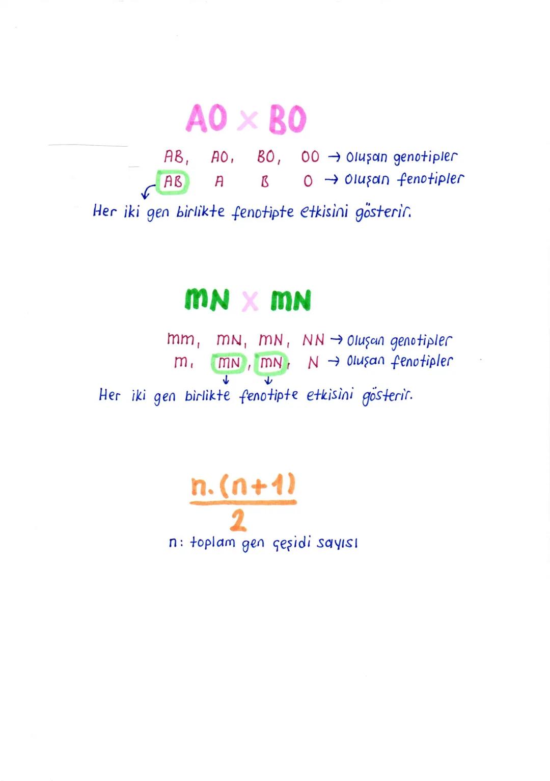 vasfi gelir
KALITIMLA İLGİLİ @blin
KAVRAMLAR
1. Kalıtım: Ata bireylerde bulunan özelliklerin yavru bireylere
aktarılması olayını Kalıtım d