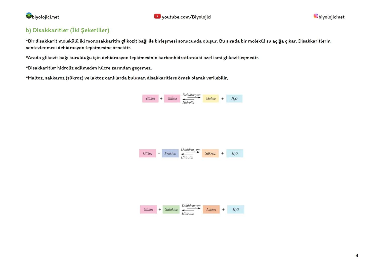 biyolojici.net
B) ORGANİK BİLEŞİKLER
youtube.com/Biyolojici
*Organik bileşiklerin yapısında karbon ve hidrojen elementleri bulunur.
*Organik