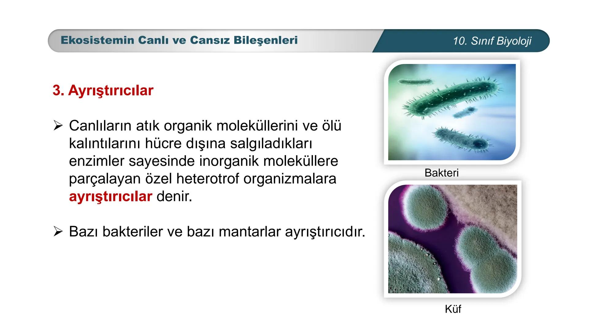 *
*
ETI MILLI EĞ
CUMHURİYET
TIM BAKANLIGI
DO
**
BİYOLOJİ
10. SINIF
Ekosistem Ekolojisi ve Güncel Çevre Sorunları
Ekosistemin Canlı ve Ca