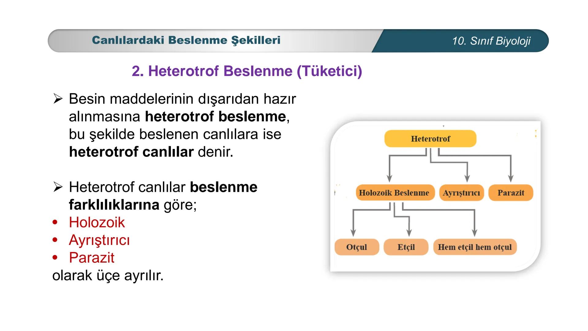 *
*
ETI MILLI EĞİ
CUMHURİYET
TIM BAKANLIĞI
**
BİYOLOJİ
10. SINIF
Ekosistem Ekolojisi ve Güncel Çevre Sorunları
Canlılardaki Beslenme Şekille