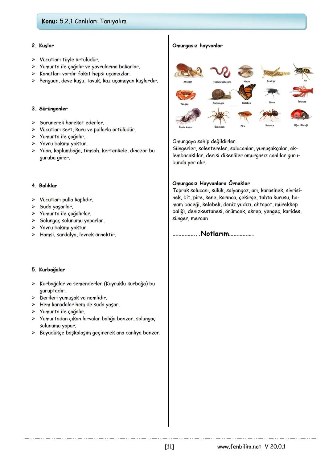 # 5.Sınıf Fen Bilimleri
## Ders Notları
Barış ZEREN
Fen Bilimleri Öğretmeni
www.fenbilim.net V 20.0.1 # 1.ÜNİTE: Güneş, Dünya ve Ay
Konu
