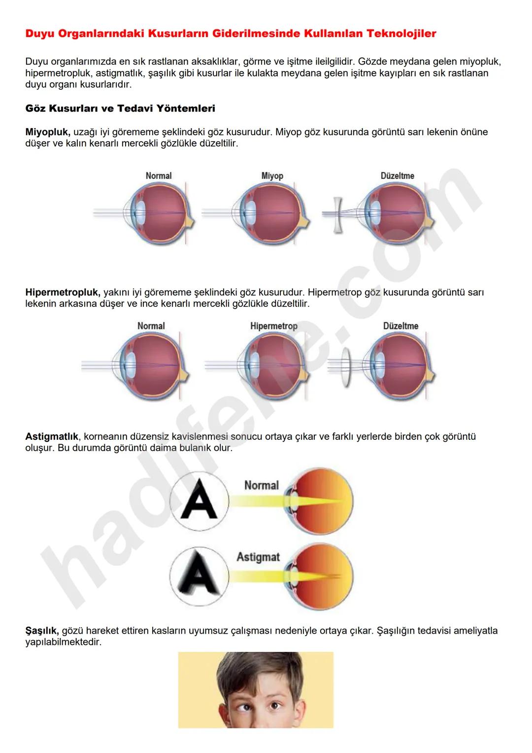 # 6.SINIF 6.ÜNİTE
VÜCUDUMUZDAKİ
SİSTEMLER
DUYU
ORGANLARI
Ali Hocayla
Hadi Fene
www.hadifene.com
# Duyu Organlarının Yapıları
Canlılık faaliy