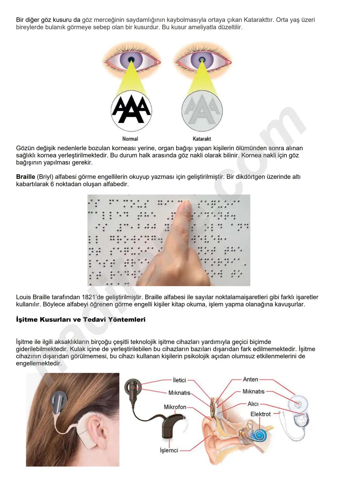 # 6.SINIF 6.ÜNİTE
VÜCUDUMUZDAKİ
SİSTEMLER
DUYU
ORGANLARI
Ali Hocayla
Hadi Fene
www.hadifene.com
# Duyu Organlarının Yapıları
Canlılık faaliy