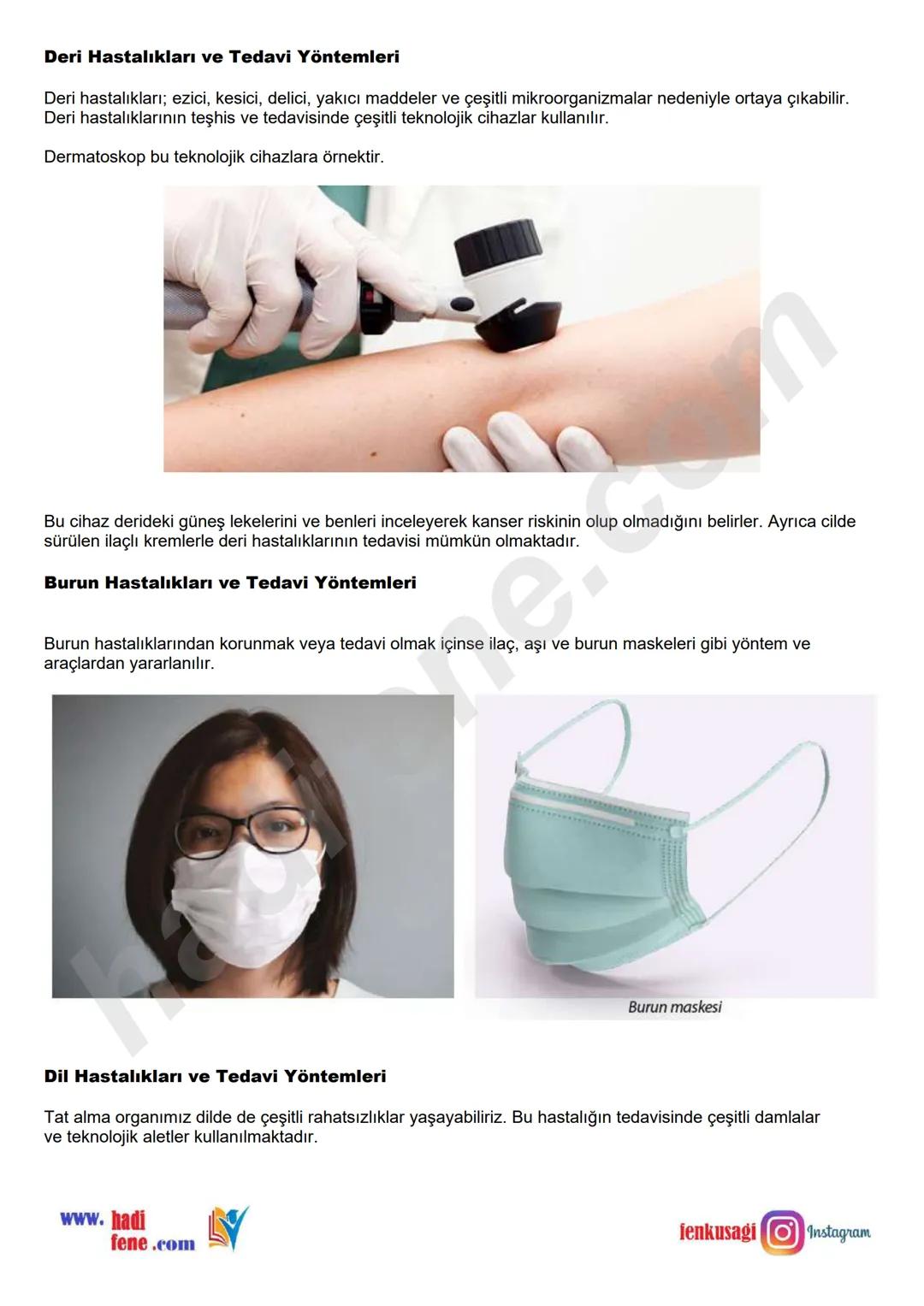 # 6.SINIF 6.ÜNİTE
VÜCUDUMUZDAKİ
SİSTEMLER
DUYU
ORGANLARI
Ali Hocayla
Hadi Fene
www.hadifene.com
# Duyu Organlarının Yapıları
Canlılık faaliy