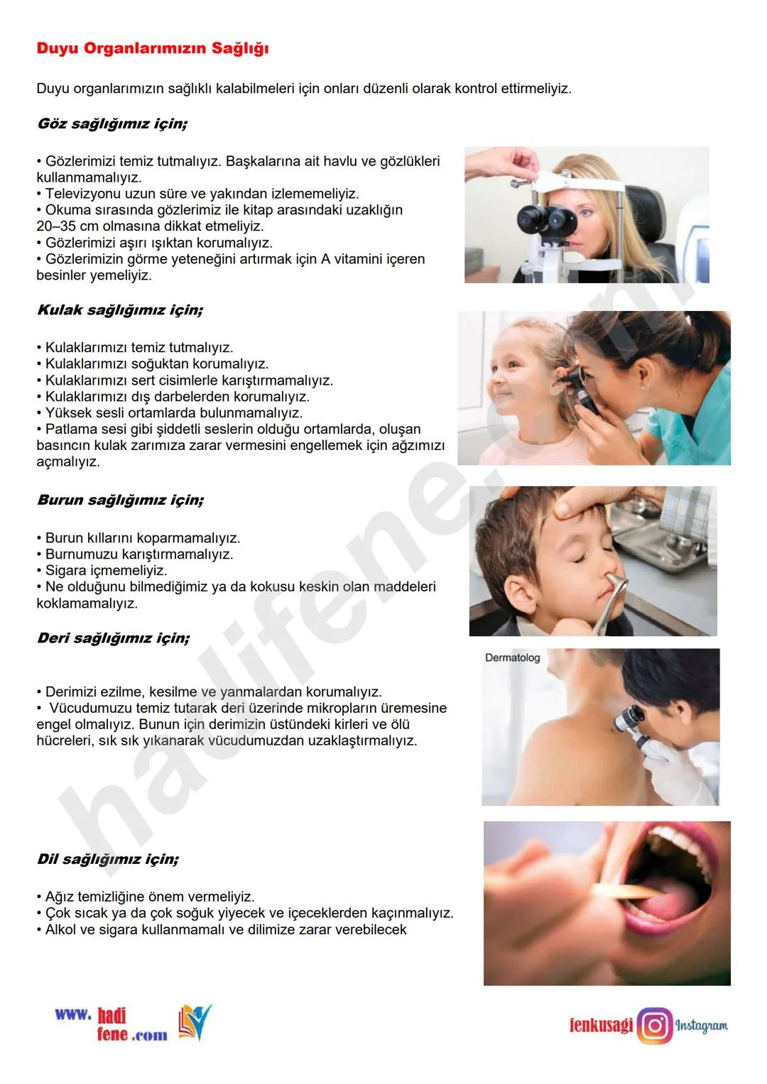 # 6.SINIF 6.ÜNİTE
VÜCUDUMUZDAKİ
SİSTEMLER
DUYU
ORGANLARI
Ali Hocayla
Hadi Fene
www.hadifene.com
# Duyu Organlarının Yapıları
Canlılık faaliy