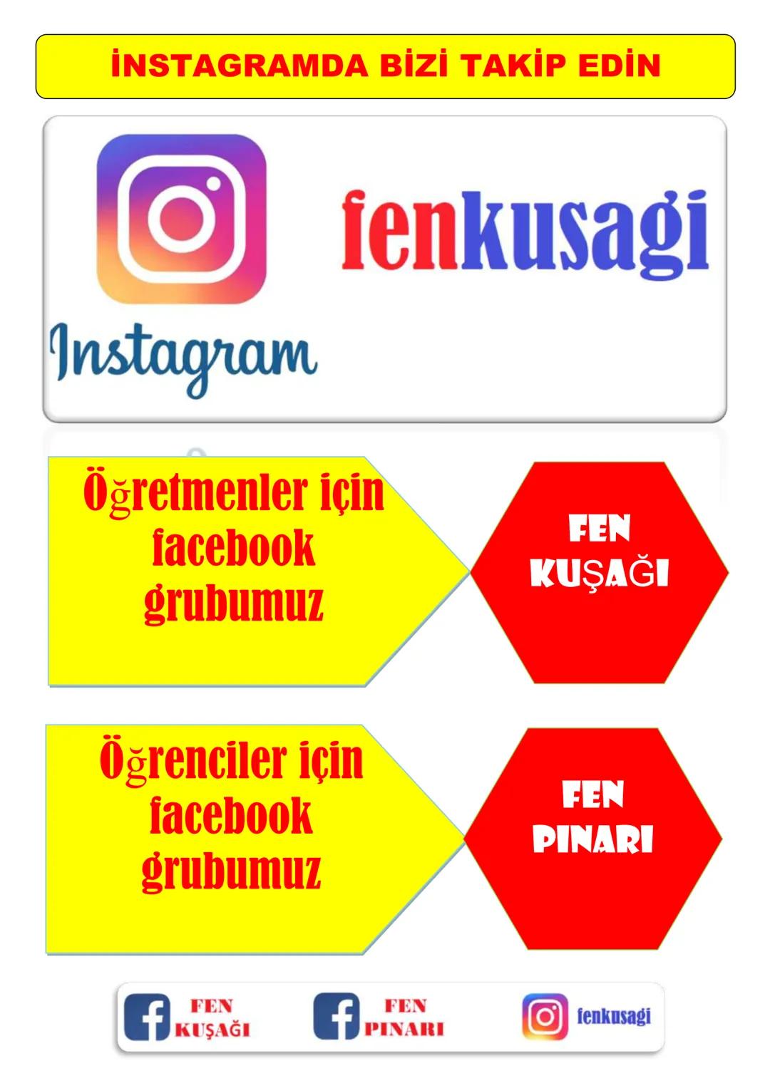 # 6.SINIF 6.ÜNİTE
VÜCUDUMUZDAKİ
SİSTEMLER
DUYU
ORGANLARI
Ali Hocayla
Hadi Fene
www.hadifene.com
# Duyu Organlarının Yapıları
Canlılık faaliy