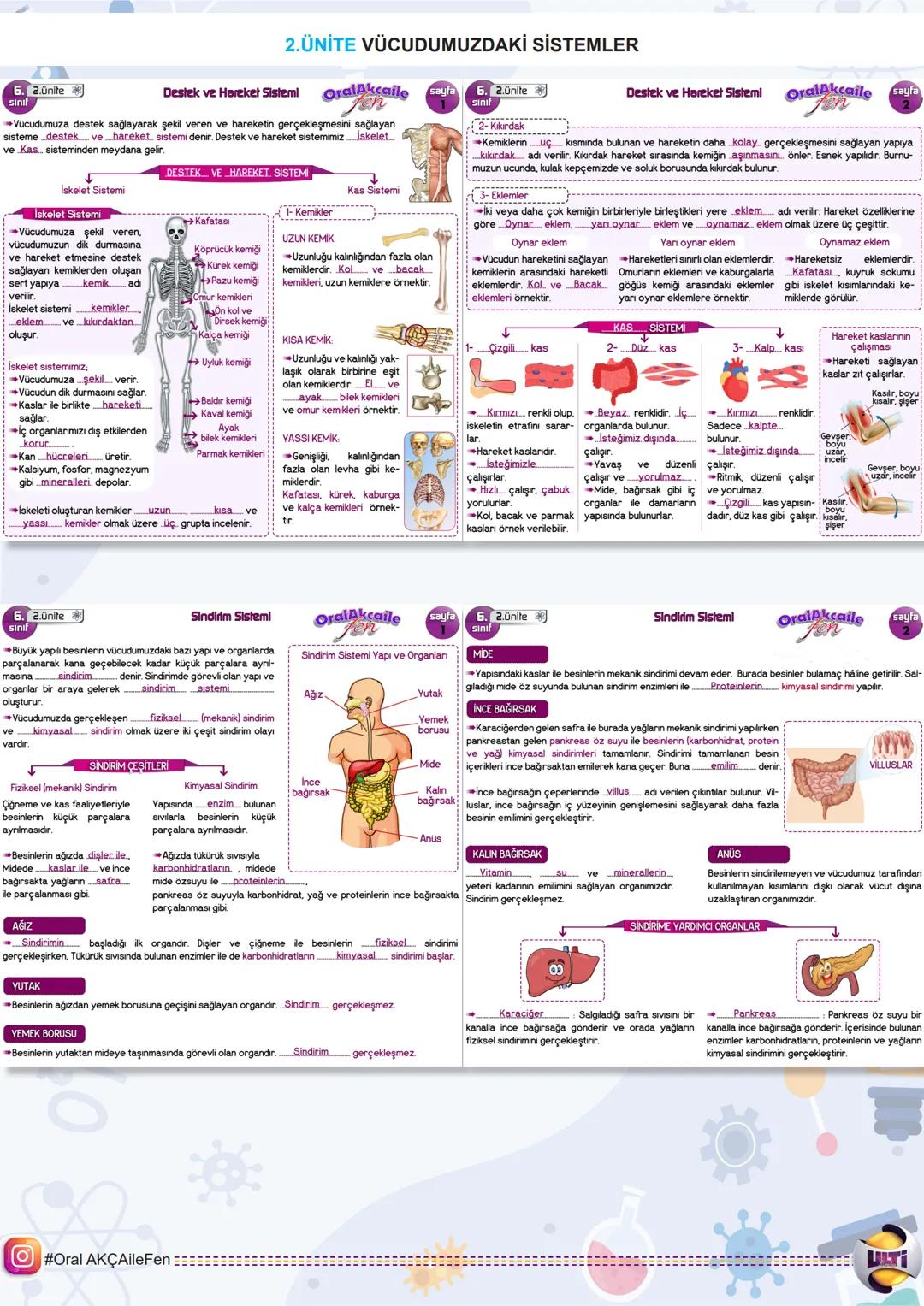# 2025 BURSLULUK
## FEN BİLİMLERİ
6.
SINIF
ORAL AKÇA'NIN NOTLARI İLE
# SON
# TEKRAR
YAYINLARI 6. Lünite
1.ÜNİTE GÜNEŞ SİSTEMİ VE TUTU