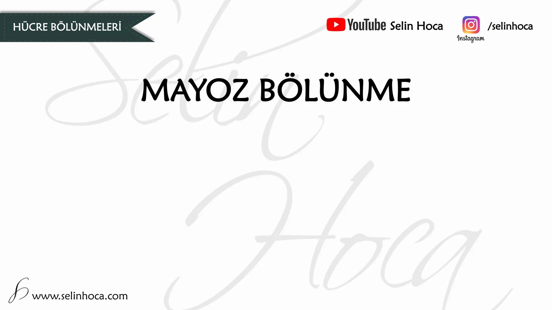 # HÜCRE BÖLÜNMELERİ
MAYOZ BÖLÜNME
YouTube Selin Hoca /selinhoca
Instagram
www.selinhoca.com # MAYOZ BÖLÜNME
✓ Üreme ana hücrelerinin, ü