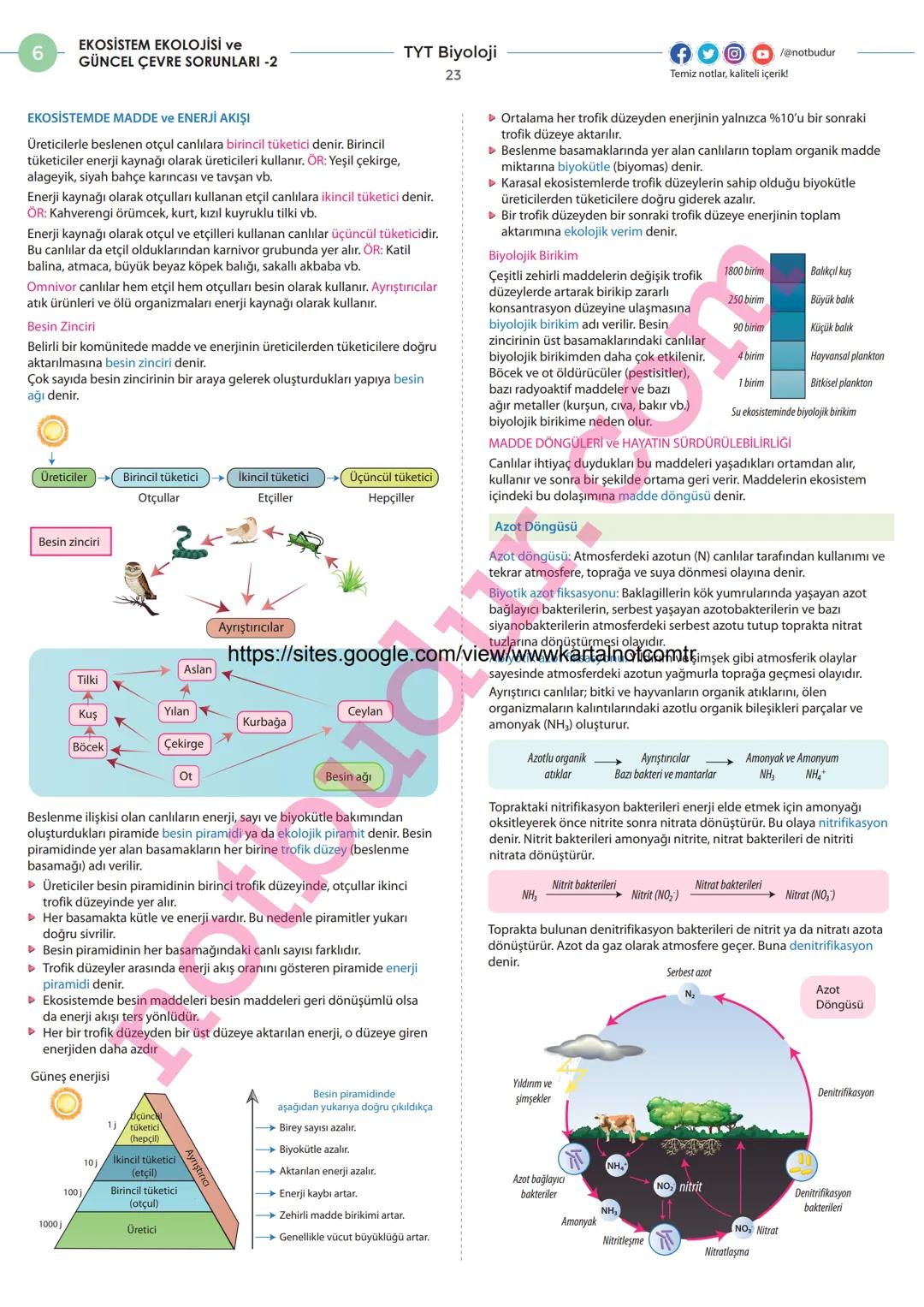 4
HÜCRE BÖLÜNMELERİ - 1
MİTOZ ve EŞEYSİZ ÜREME
Hücre Bölünmesinin Gerekliliği
TYT Biyoloji
14
Hücre teorisine göre her hücre bir önceki hücr