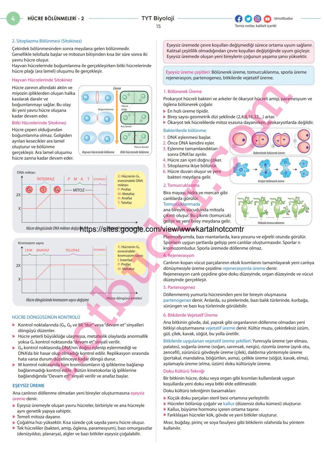 4
HÜCRE BÖLÜNMELERİ - 1
MİTOZ ve EŞEYSİZ ÜREME
Hücre Bölünmesinin Gerekliliği
TYT Biyoloji
14
Hücre teorisine göre her hücre bir önceki hücr
