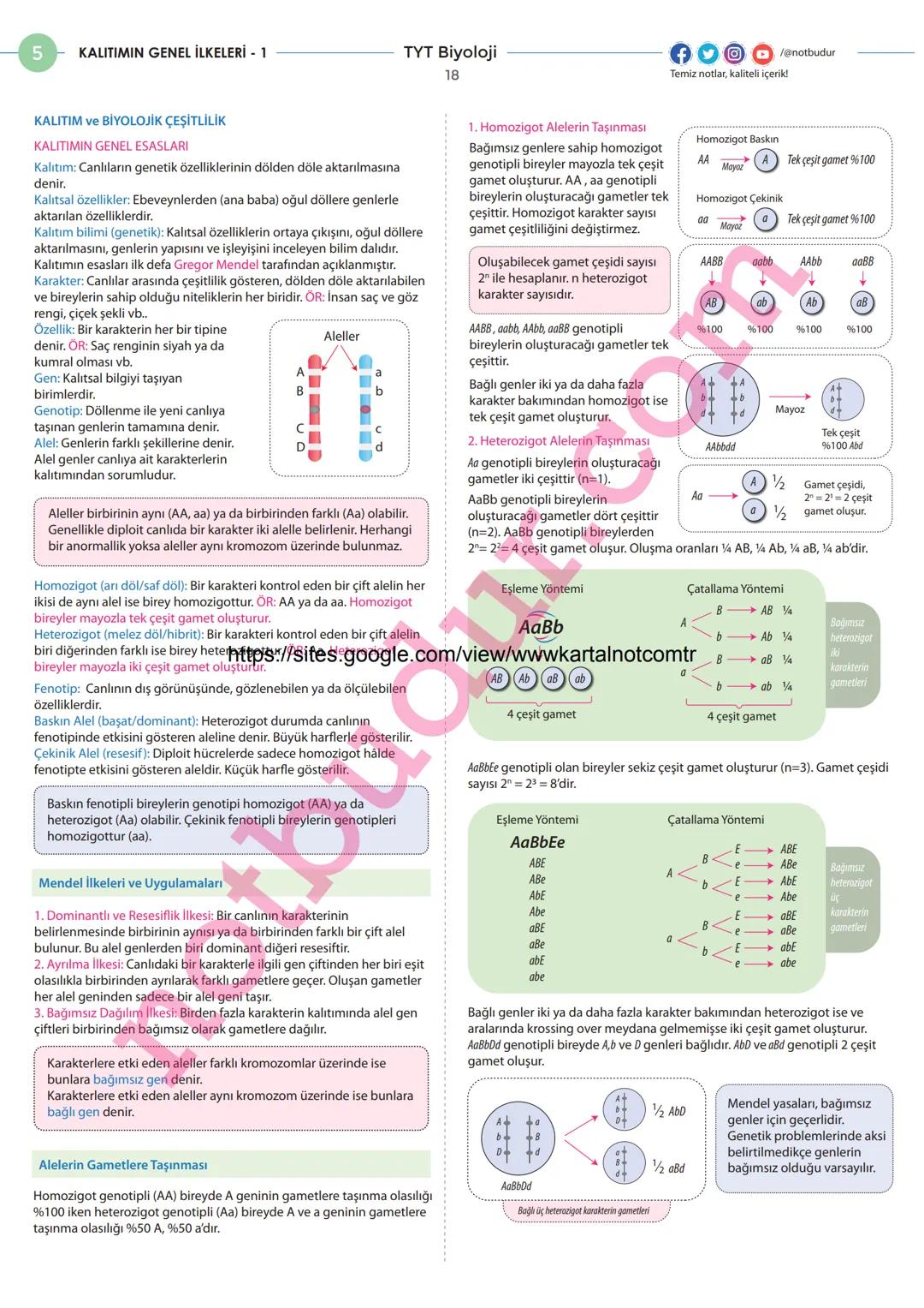 4
HÜCRE BÖLÜNMELERİ - 1
MİTOZ ve EŞEYSİZ ÜREME
Hücre Bölünmesinin Gerekliliği
TYT Biyoloji
14
Hücre teorisine göre her hücre bir önceki hücr