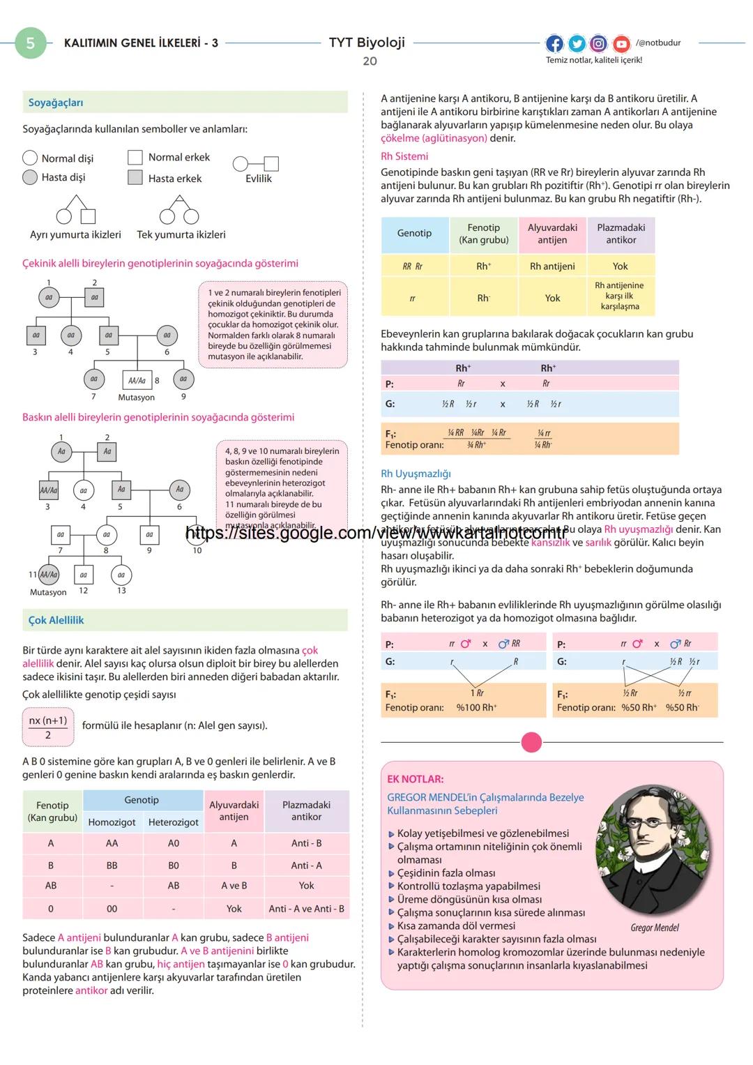 4
HÜCRE BÖLÜNMELERİ - 1
MİTOZ ve EŞEYSİZ ÜREME
Hücre Bölünmesinin Gerekliliği
TYT Biyoloji
14
Hücre teorisine göre her hücre bir önceki hücr