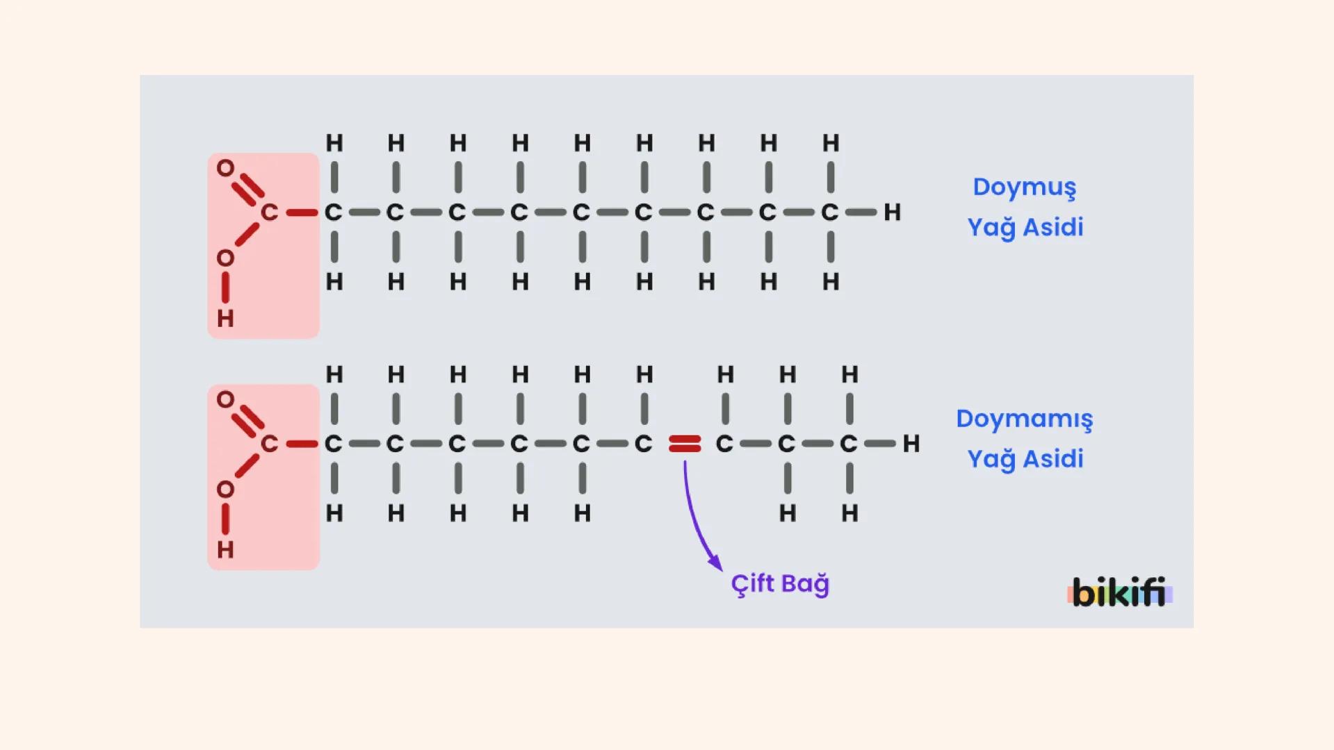 # Lipitler # LİPİTLER
*Lipitlerin bileşiminde karbon (C), hidrojen (H) ve oksijen (O) elementleri bulunur. Bazı lipit çeşitlerinin
yapısınd