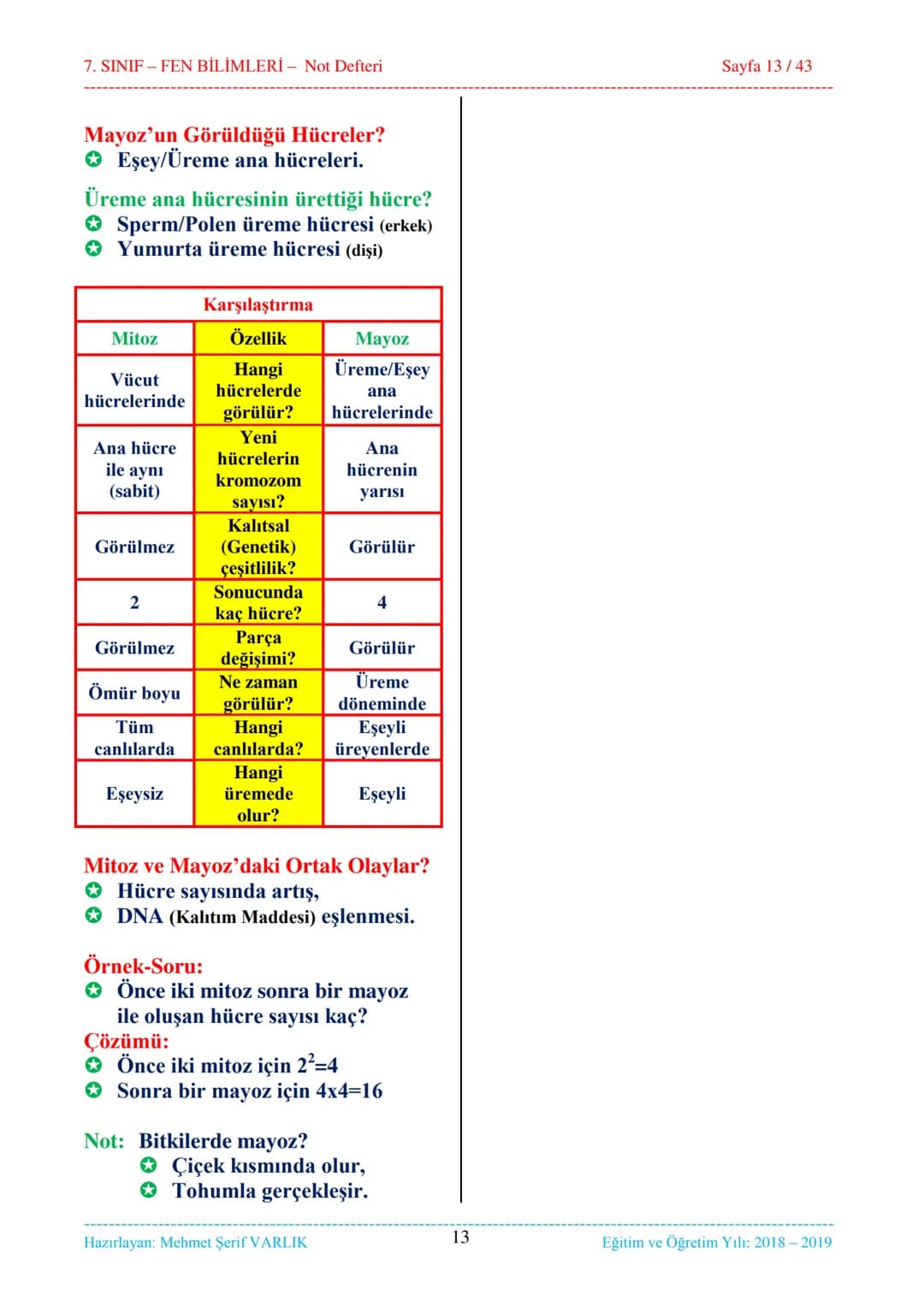 7. SINIF-FEN BİLİMLERİ - Not Defteri
Sayfa 12/43
NOT DEFTERİ
2. Ünite 3. Bölüm: Mayoz
Üreme Nedir?
Her canlının kendine benzer canlı
meyd