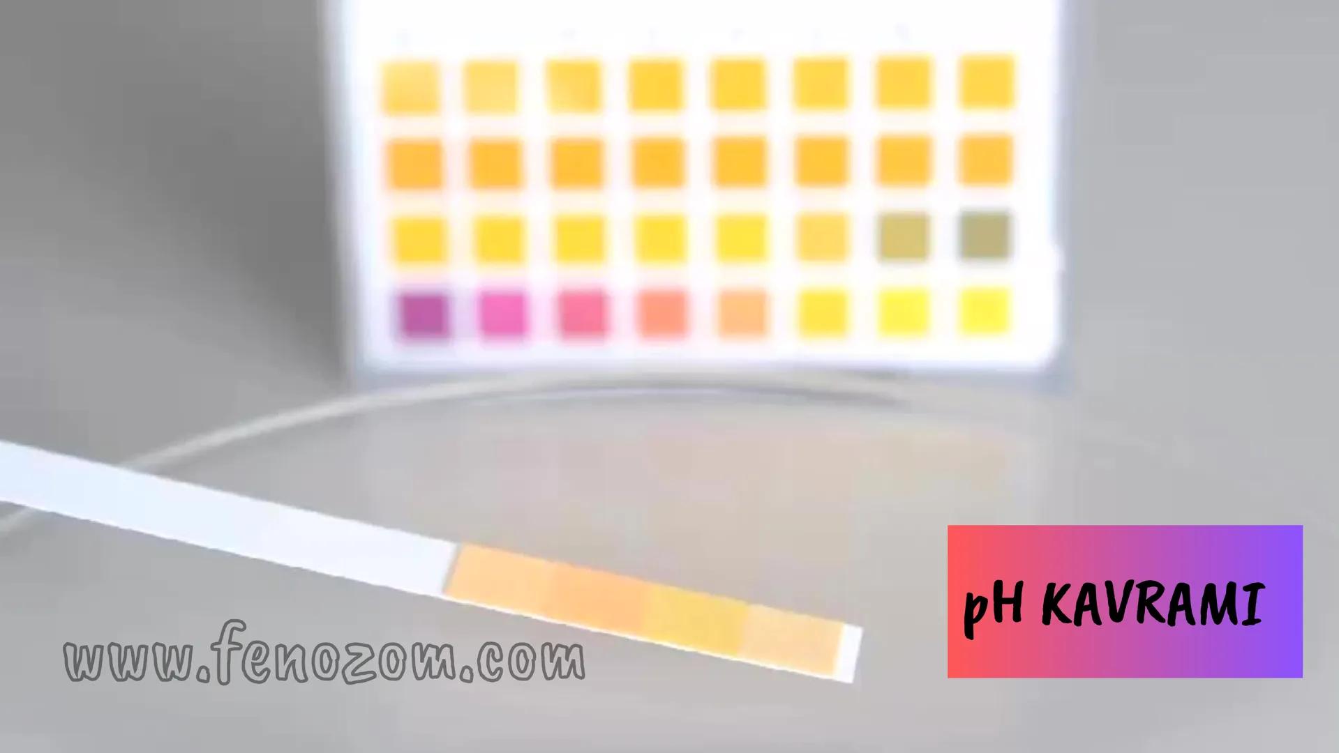 8.SINIF 4.ÜNİTE
ASİTLER
VE
BAZLAR
pH 4.0 pH 5.0 pH 5.5 pH 6.0 pH 6.5 pH 7.0 pH 7.5 pH 8.5 pH 9.0 pH 10.0
www.fenozom.com HCI
HNO3 H2CO3