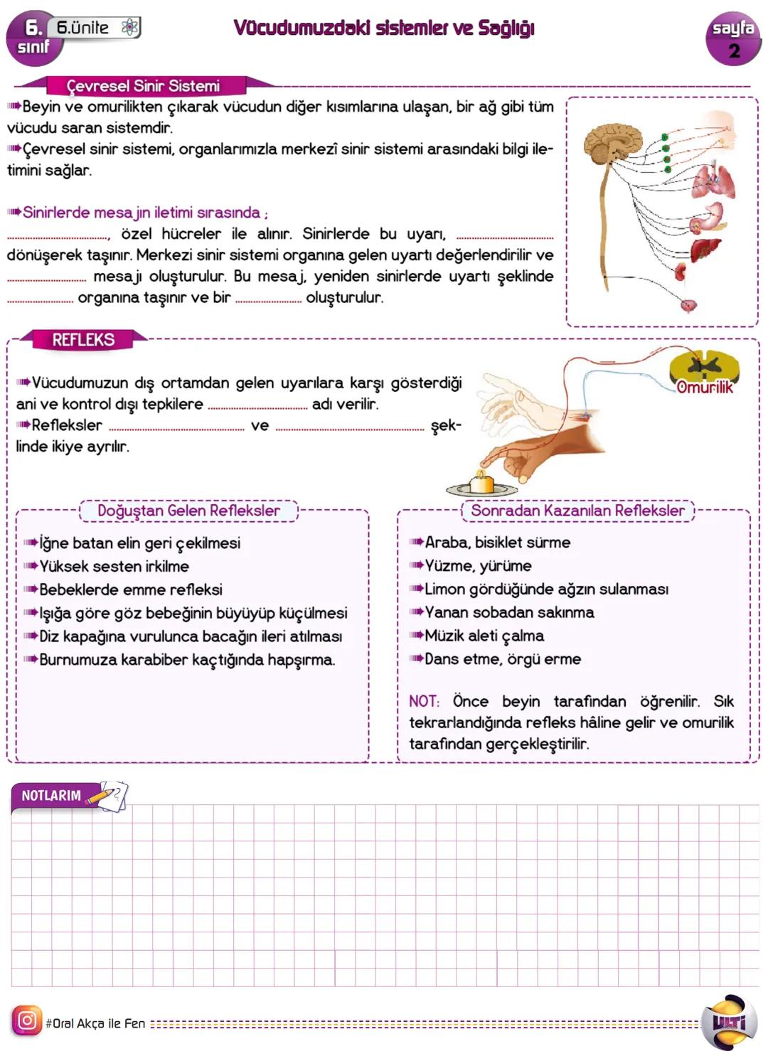 6. 6.ünite
sınıf
Vücudumuzdaki sistemler ve Sağlığı
Denelleyici ve Düzenleyici sistemler
-Vücudumuzda gerçekleşen olayların düzenli, birbi