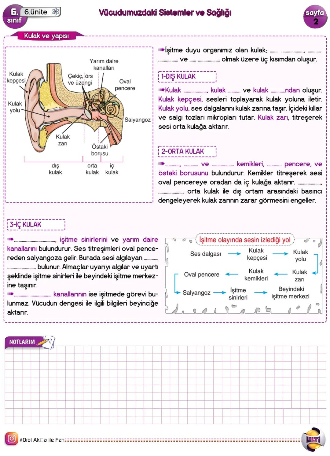 6. 6.ünite
sınıf
DUYU ORGANLARIMIZ
Vücudumuzdaki Sistemler ve Sağlığı
Çevremizdeki uyarıları algılamamızda ve çevreye uyum sağlamamızda etki