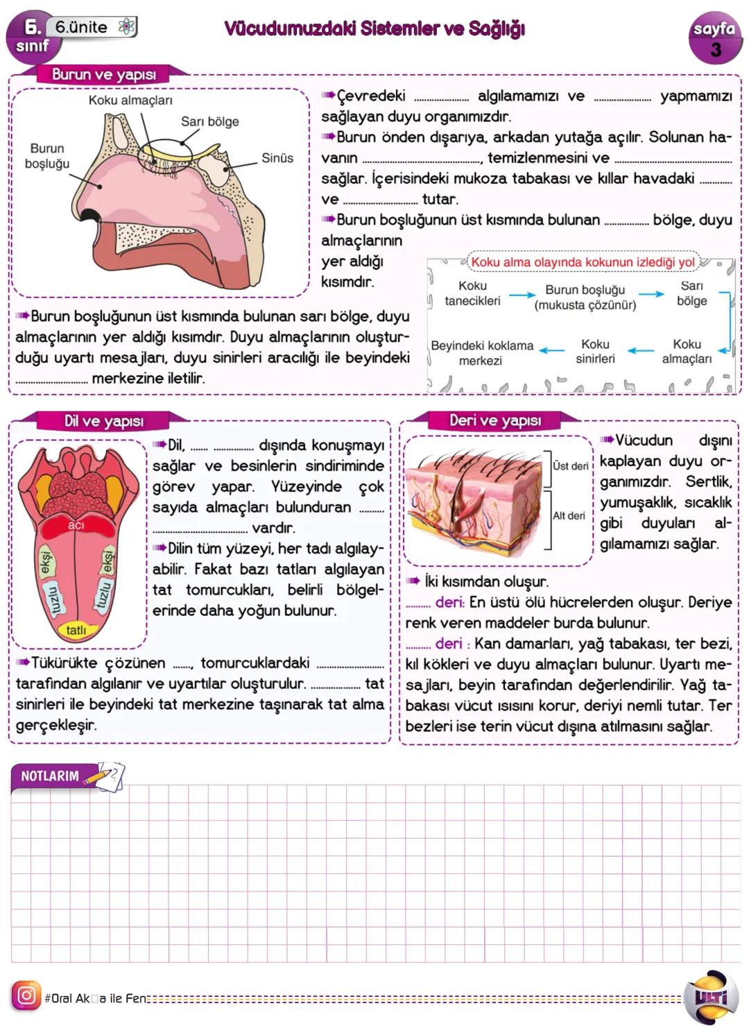 6. 6.ünite
sınıf
DUYU ORGANLARIMIZ
Vücudumuzdaki Sistemler ve Sağlığı
Çevremizdeki uyarıları algılamamızda ve çevreye uyum sağlamamızda etki