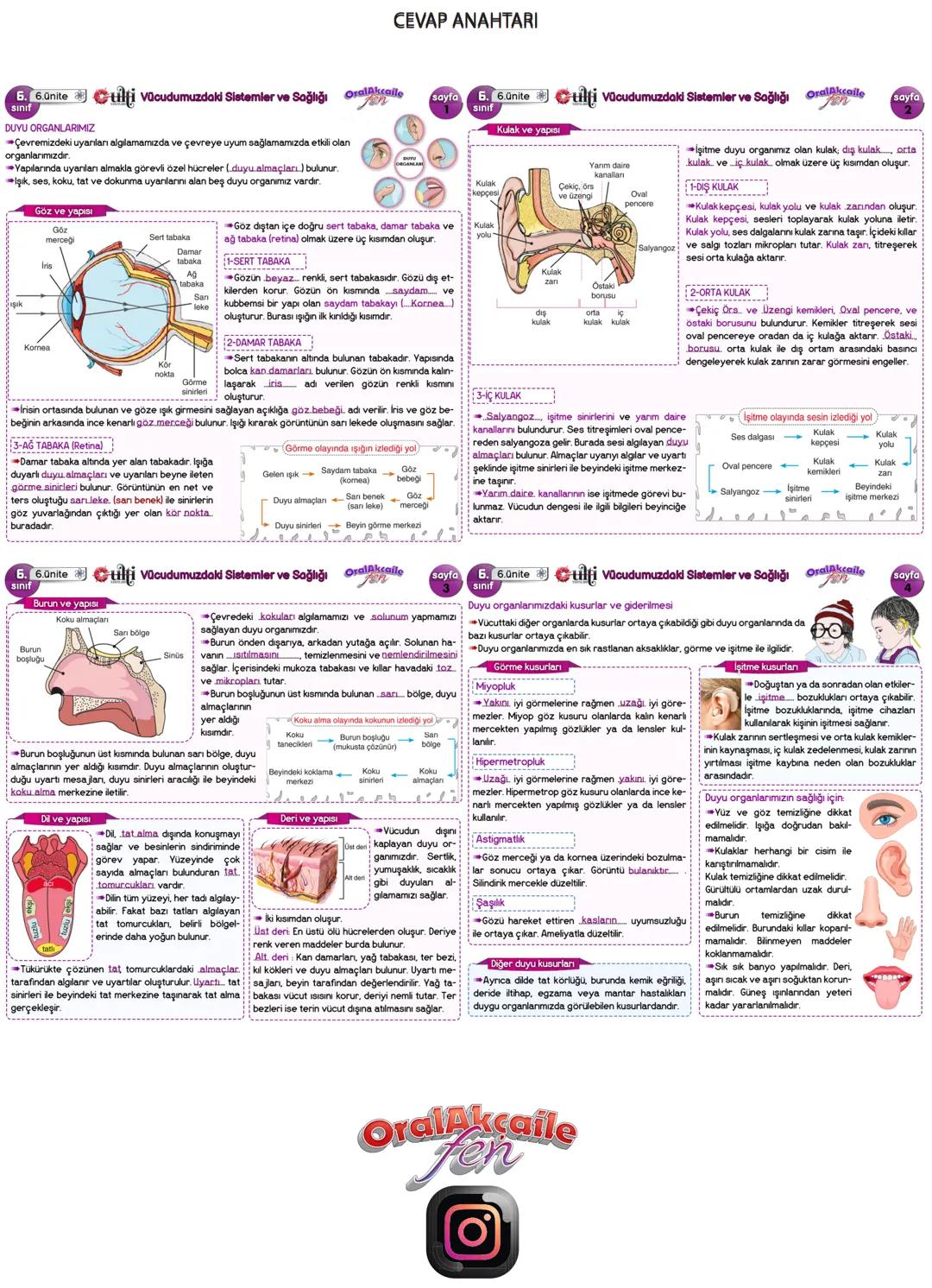 6. 6.ünite
sınıf
DUYU ORGANLARIMIZ
Vücudumuzdaki Sistemler ve Sağlığı
Çevremizdeki uyarıları algılamamızda ve çevreye uyum sağlamamızda etki