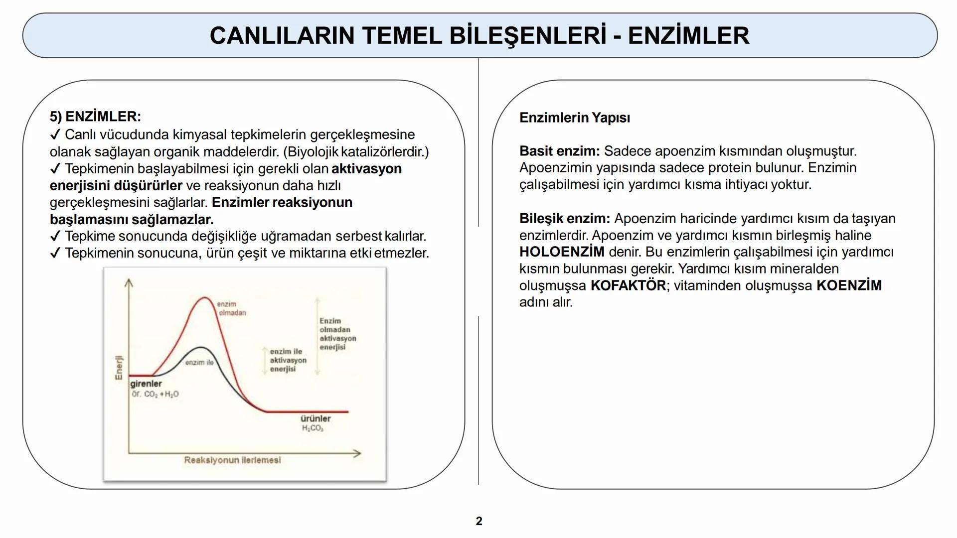 # YAŞAM BİLİMİ Biyoloji
# CANLILARIN TEMEL BİLEŞENLERİ
ORGANİK MADDELER - ENZİMLER (1) # CANLILARIN TEMEL BİLEŞENLERİ - ENZİMLER
5) ENZİM