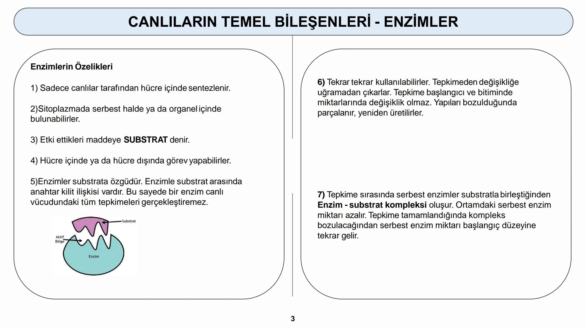 # YAŞAM BİLİMİ Biyoloji
# CANLILARIN TEMEL BİLEŞENLERİ
ORGANİK MADDELER - ENZİMLER (1) # CANLILARIN TEMEL BİLEŞENLERİ - ENZİMLER
5) ENZİM