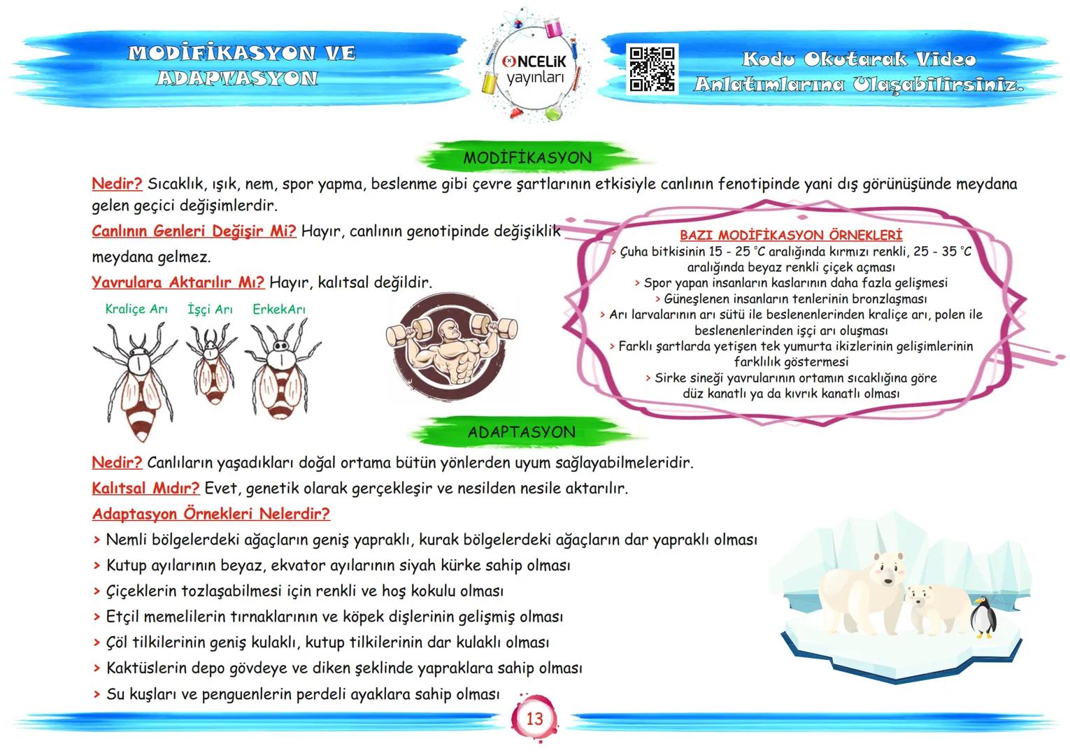 # 8. Sınıf
# Konu Anlatımları
## 2. Ünite
## DNA ve Genetik Kod
Fen Ogrenmenn
En Eglancer ve En Kelay
Yolu
EnBasit Fen
ŞİRİN ALTINTAŞ