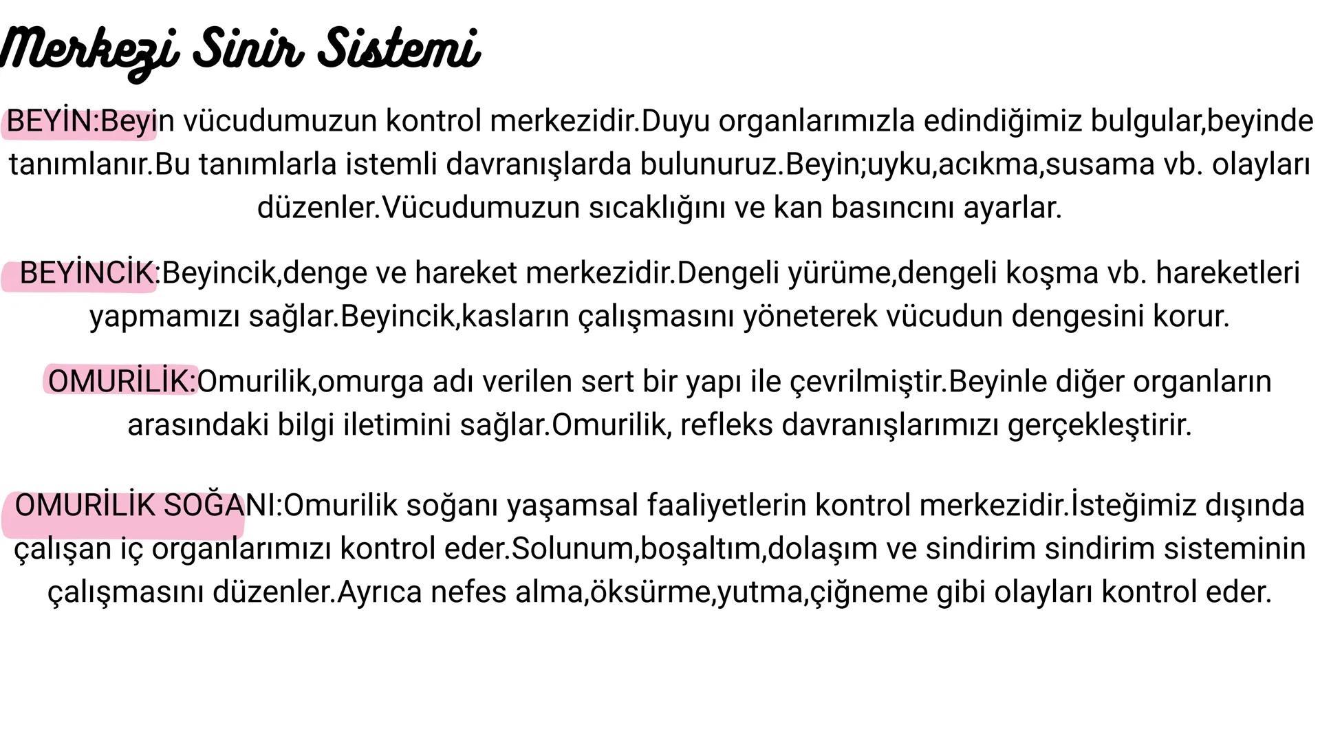# Denetleyici ve Düzenleyici
## Sistemler
nida *Vücudumuzda bulunan hücreler,organ ve sistemlerin beraber, düzenli bir şekilde çalışmasını