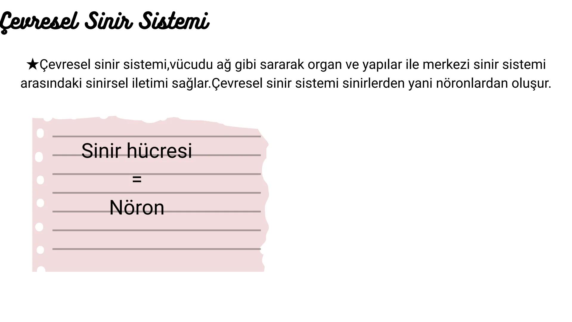 # Denetleyici ve Düzenleyici
## Sistemler
nida *Vücudumuzda bulunan hücreler,organ ve sistemlerin beraber, düzenli bir şekilde çalışmasını