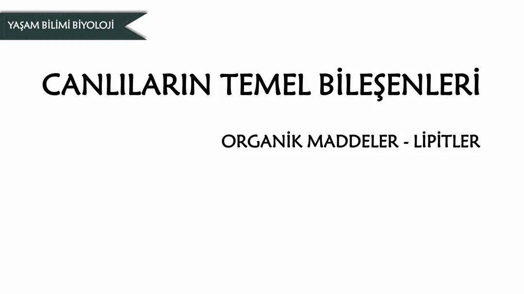 Biyoloji-Lipitler