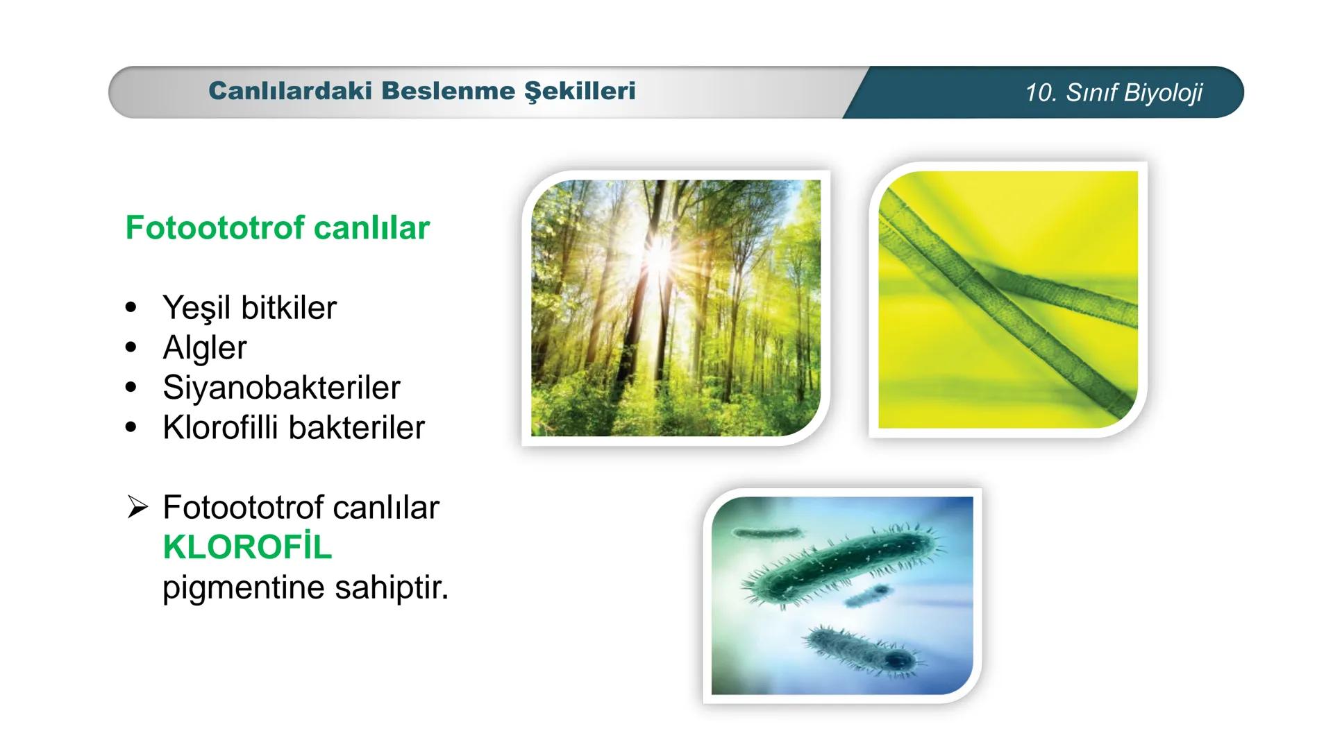 *
*
ETI MILLI EĞ
CUMHURİYET
DO
TIM BAKANLIĞI
BİYOLOJİ
10. SINIF
Ekosistem Ekolojisi ve Güncel Çevre Sorunları
Canlılardaki Beslenme Şekiller