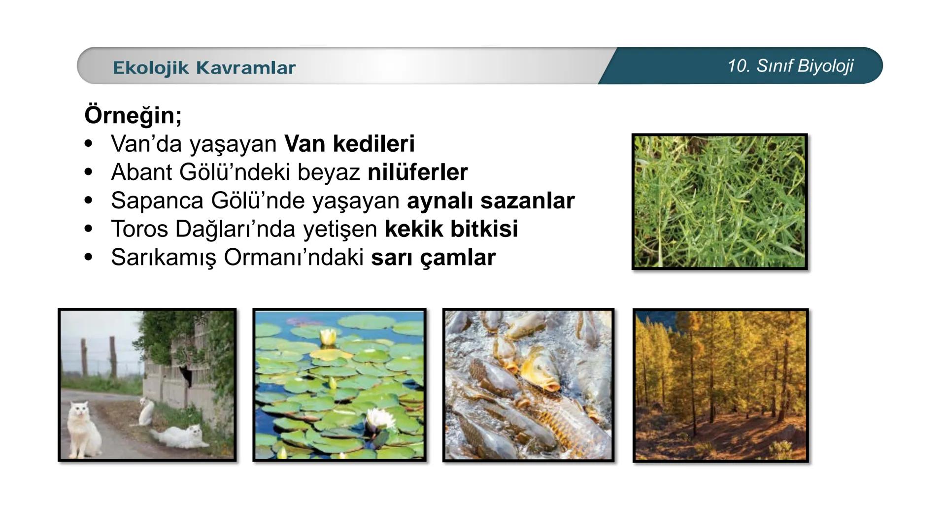 *
*
ETI MILLI EĞİ
CUMHURİYET
DO
TIM BAKANLIĞI
**
BİYOLOJİ
10. SINIF
Ekosistem Ekolojisi ve Güncel Çevre Sorunları
Ekolojik Kavramlar --- OCR