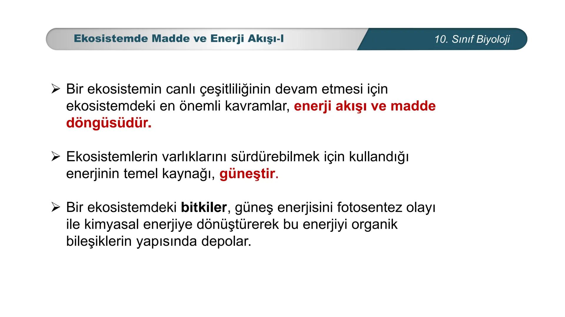 *
*
ETI MILLI EĞİ
CUMHURİYET
TIM BAKANLIGI
BİYOLOJİ
10. SINIF
Ekosistem Ekolojisi ve Güncel Çevre Sorunları
Ekosistemde Madde ve Enerji Akış
