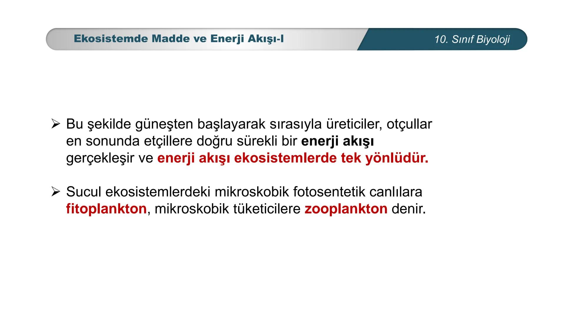 *
*
ETI MILLI EĞİ
CUMHURİYET
TIM BAKANLIGI
BİYOLOJİ
10. SINIF
Ekosistem Ekolojisi ve Güncel Çevre Sorunları
Ekosistemde Madde ve Enerji Akış